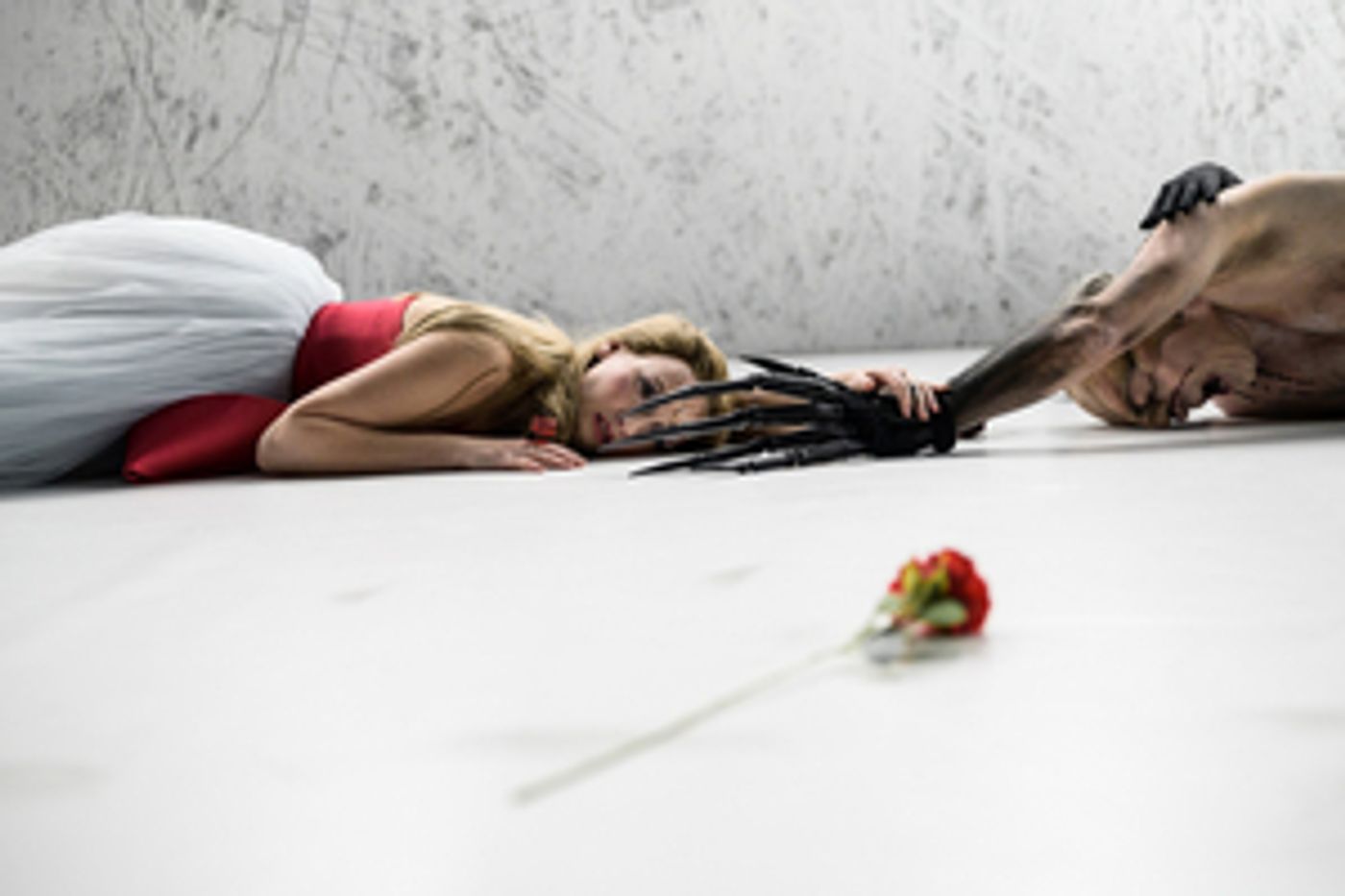 KRÁSKA A ZVÍŘE v Národním divadle  Image