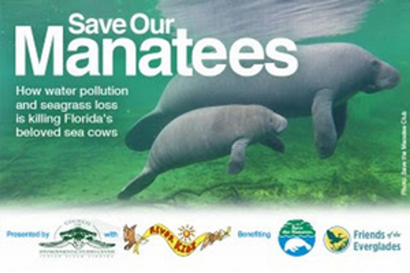 SAVE OUR MANATEES Postponed at Lyric Theatre  Image