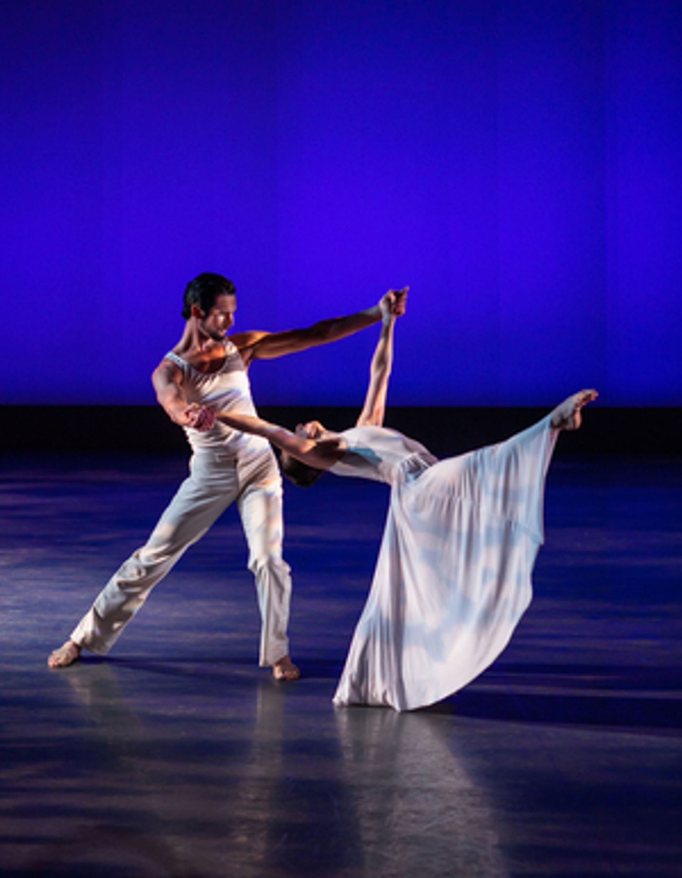 Nashville Ballet to Present Unique Production of Attitude this February  Image