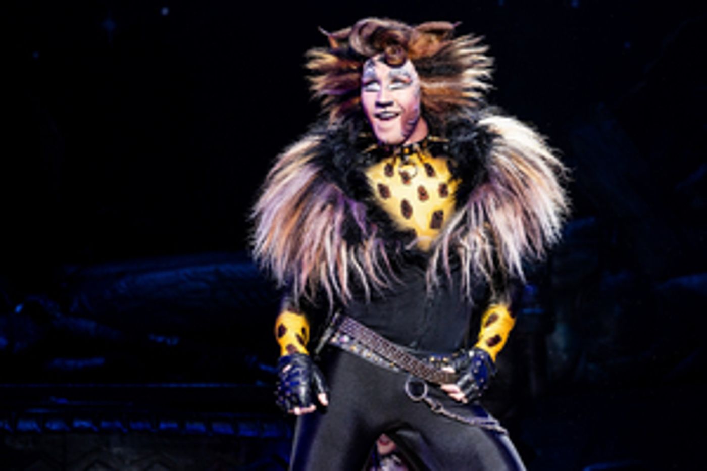 Review: CATS at Kentucky Performing Arts  Image