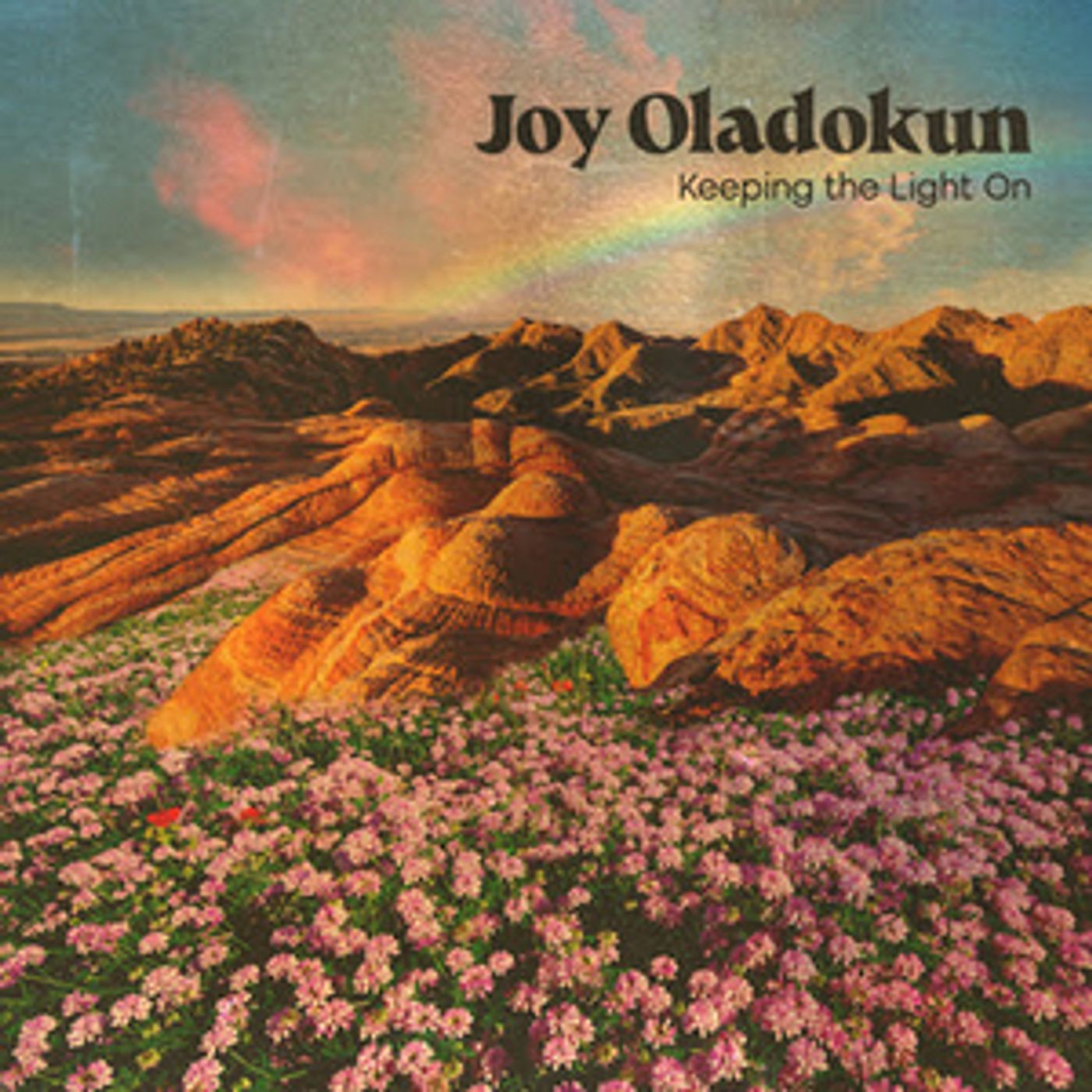 Joy Oladokun Releases New Song 'Keeping the Light On' Joy Oladokun Releases New Song 'Keeping the Light On' Image