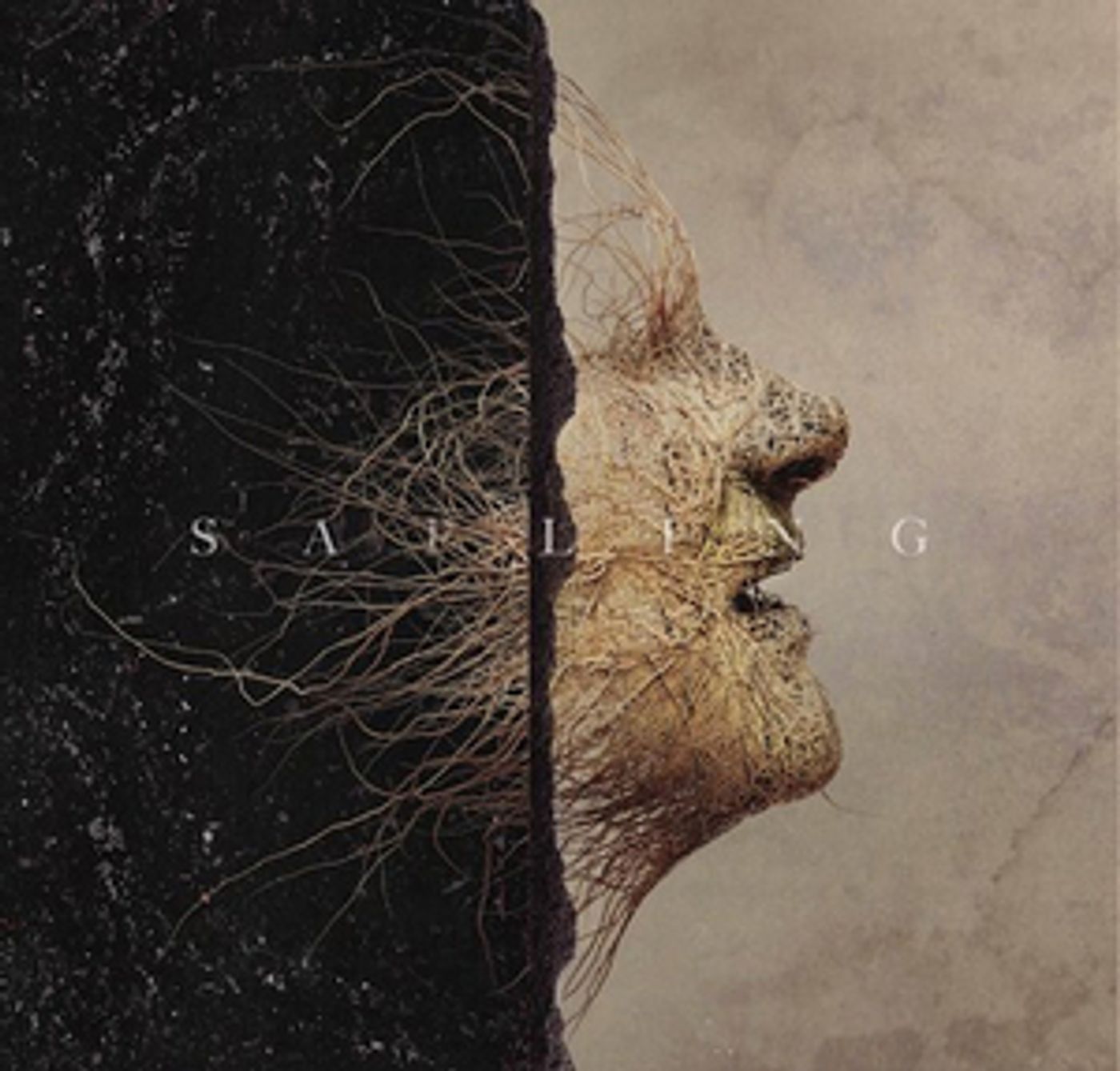 Foy Vance Releases New Single 'Sapling' with Anderson East  Image