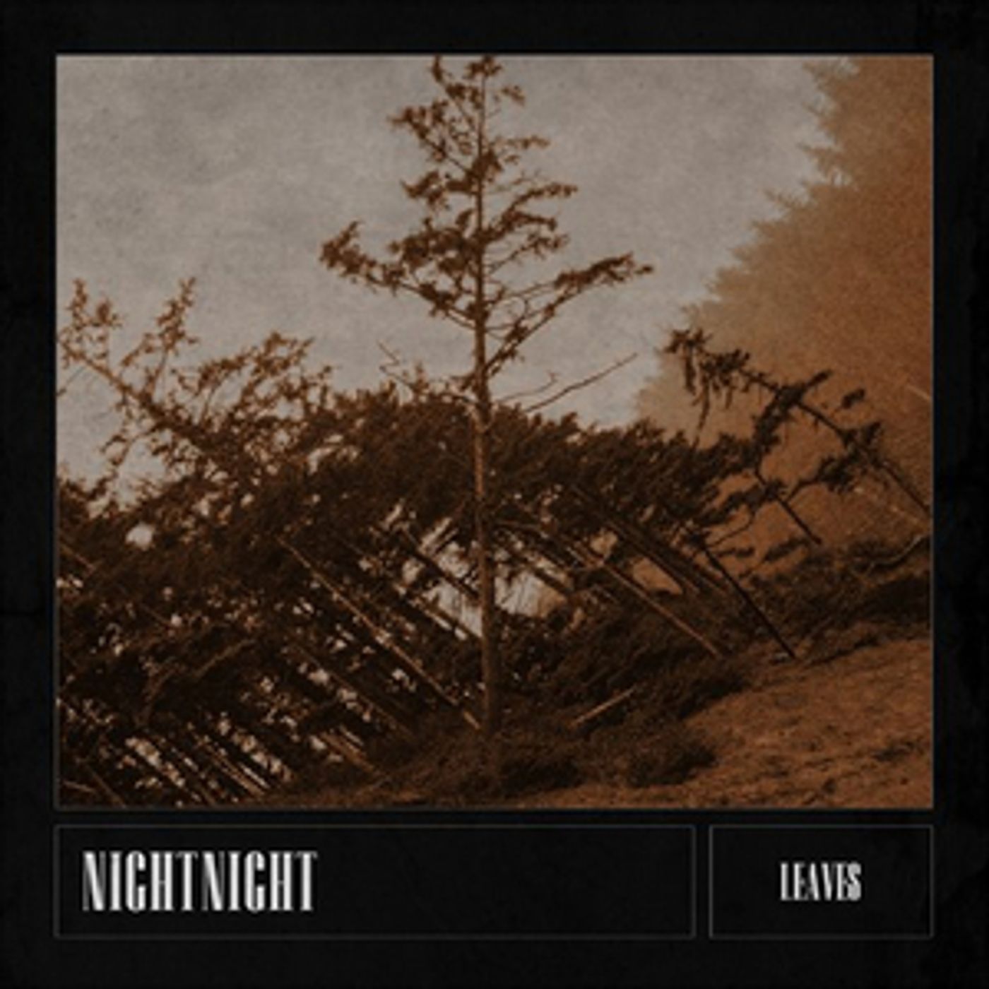 NightNight Releases New Single 'Leaves' NightNight Releases New Single 'Leaves' Image