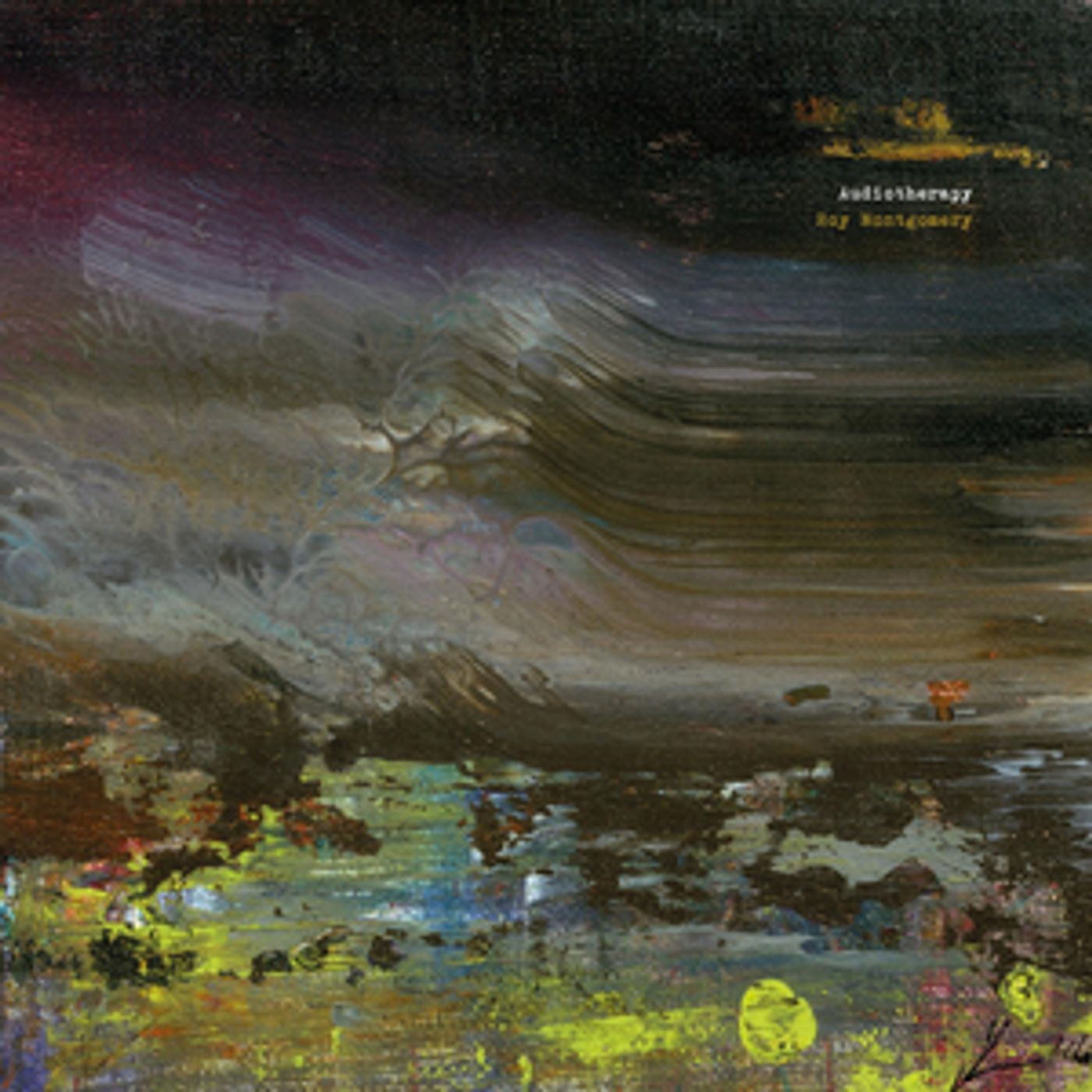 Roy Montgomery Shares 'Audioramble' From Upcoming 'Audiotherapy' Album Roy Montgomery Shares 'Audioramble' From Upcoming 'Audiotherapy' Album Image