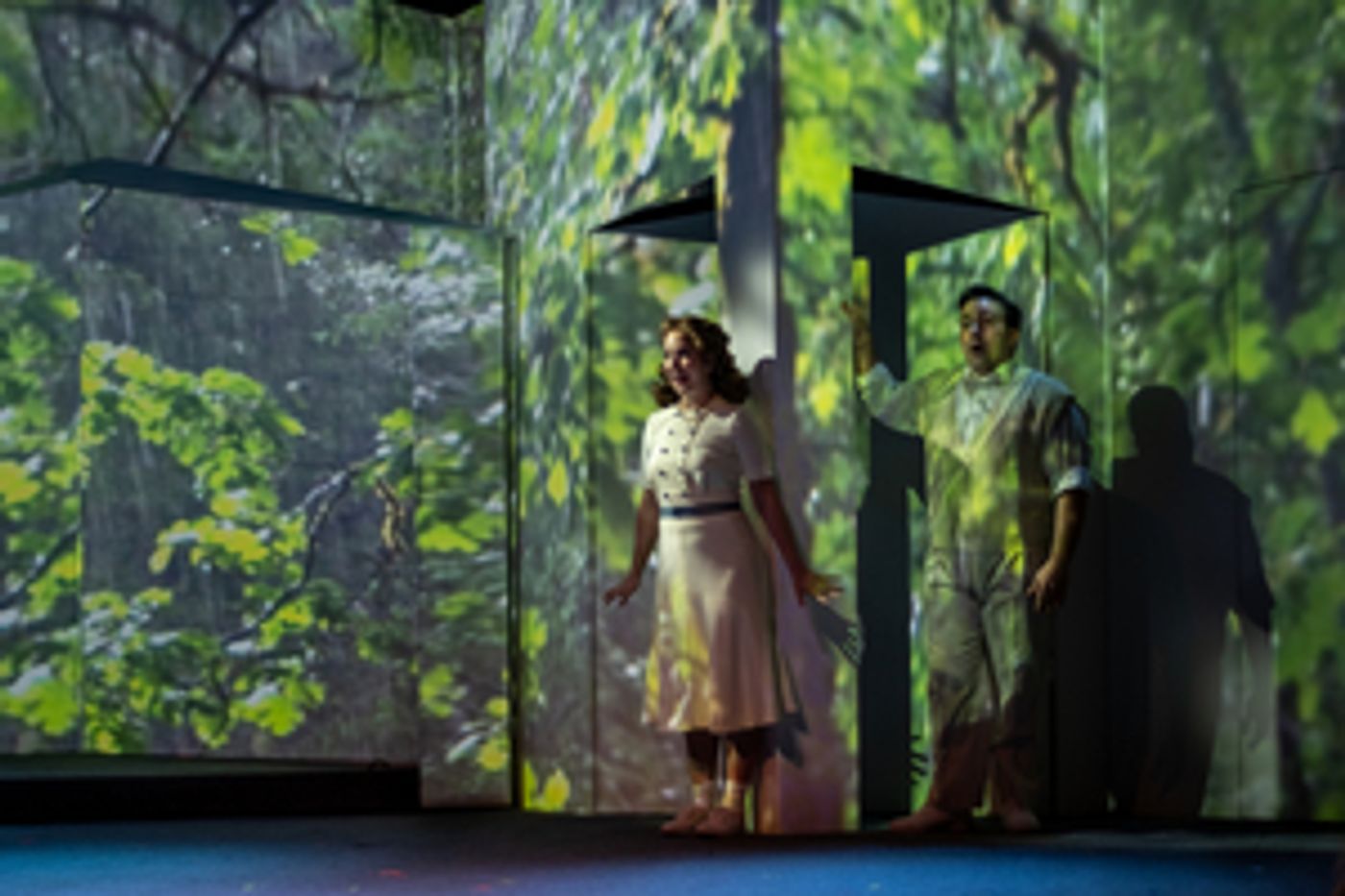 Review: GARDEN OF FINZI-CONTINIS at City Opera-NYTF Is Too Much of a Good Thing  Image