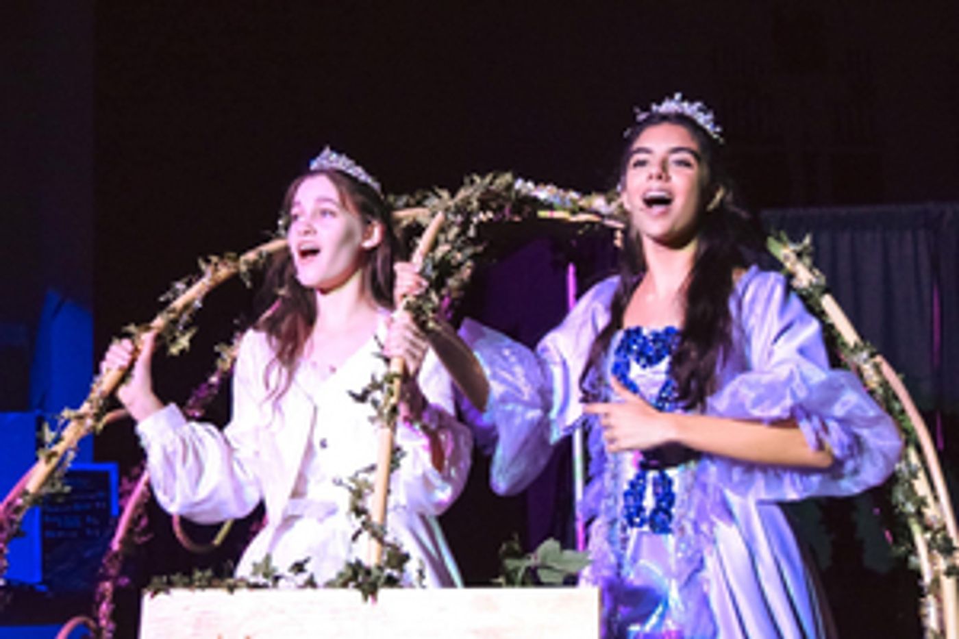 Review: CINDERELLA at Rise Above Performing Arts Showcases Talent and Imagination  Image