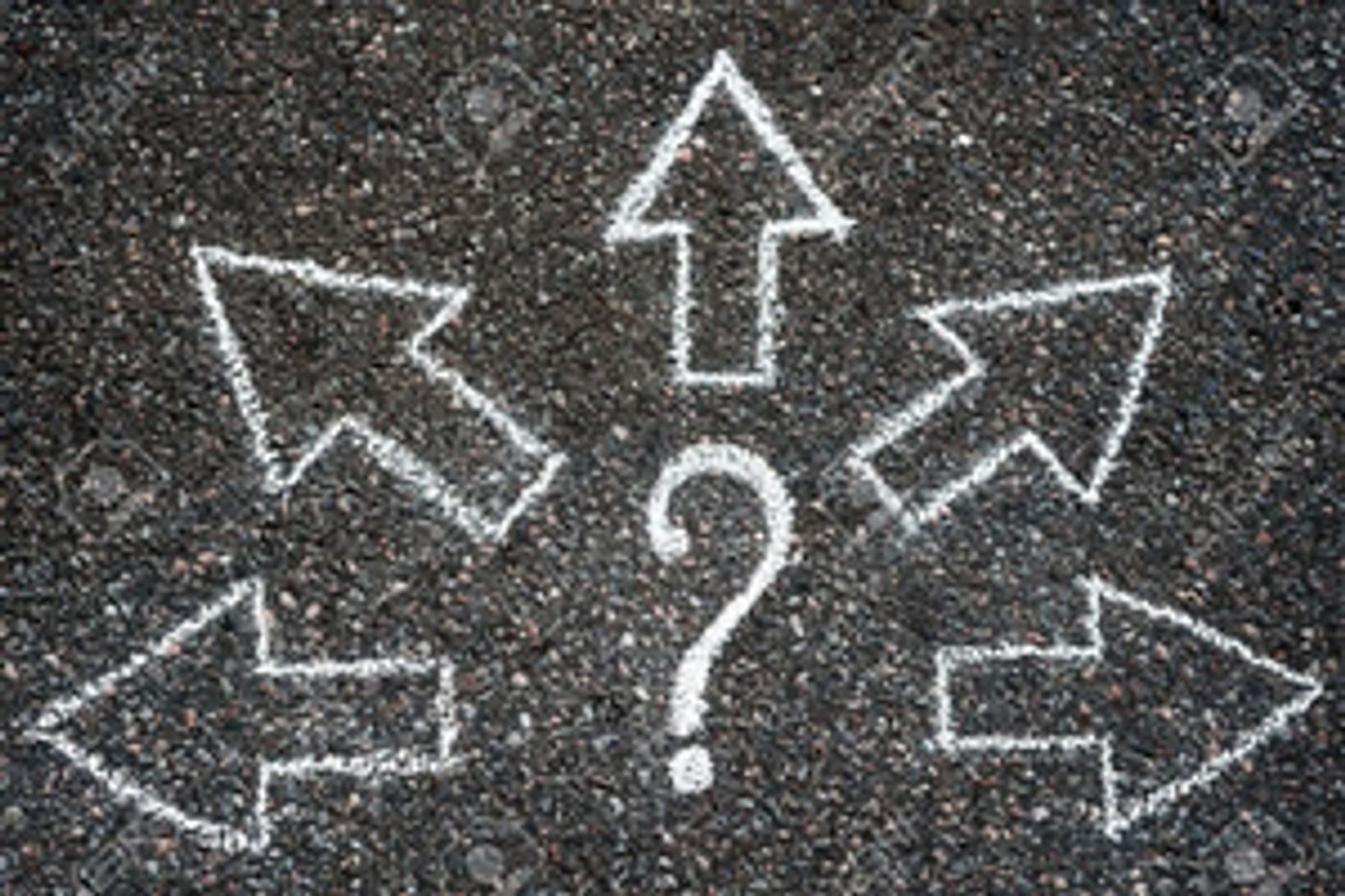 Student Blog: Tips To Select A Show  Image