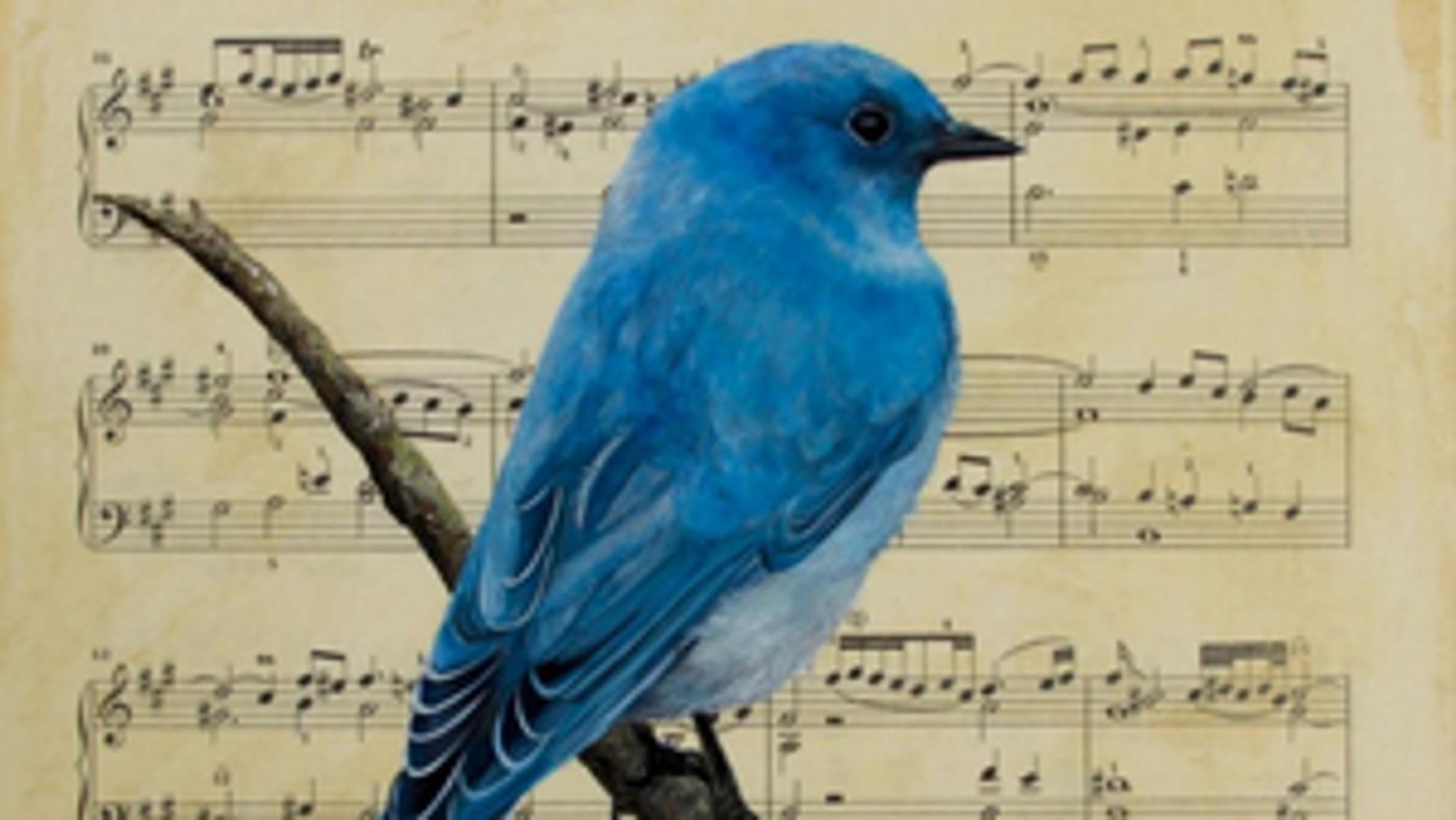 2022 Arizona Bach Festival Kicks Off This Month  Image