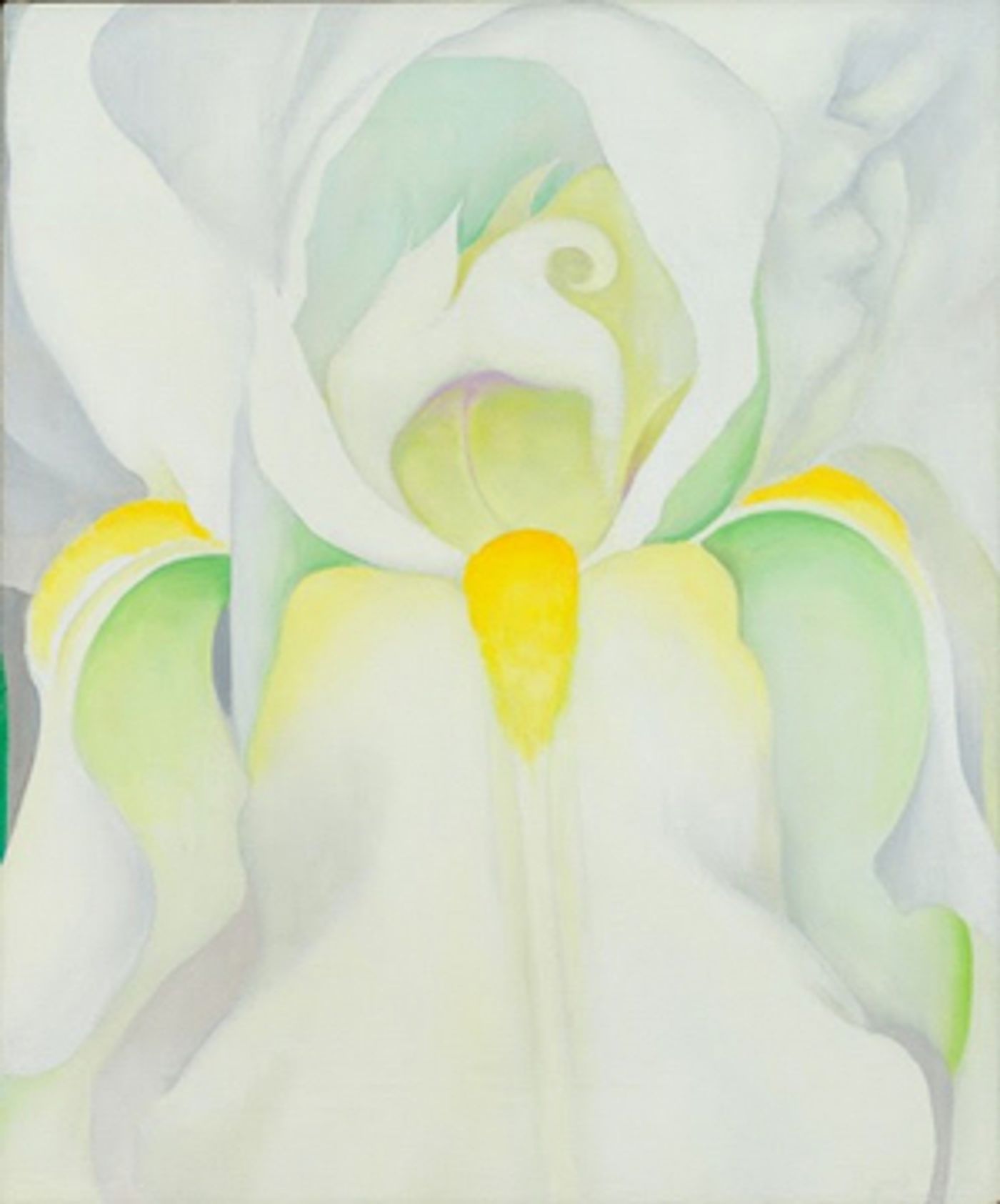 Norton Museum to Showcase Private Collections Featuring Work By Picasso, Rembrandt, and More  Image