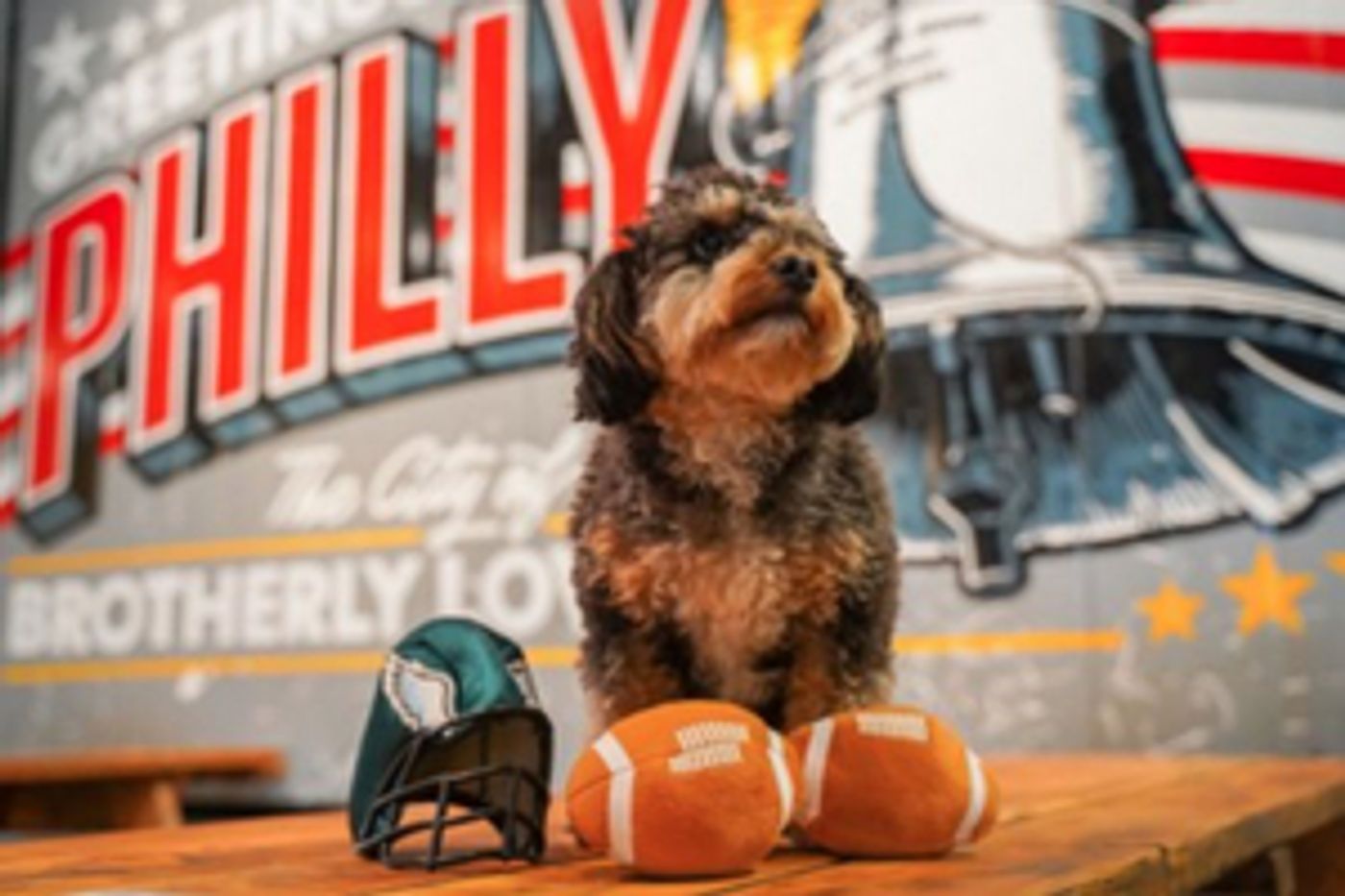 1ST PHILADELPHIA BARK BOWL by Craft Hall and Pennsylvania SPCA on Saturday 2/12 1ST PHILADELPHIA BARK BOWL by Craft Hall and Pennsylvania SPCA on Saturday 2/12 Image