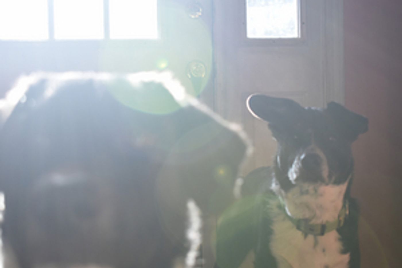 Student Blog: A New Passion on the Rise  Image