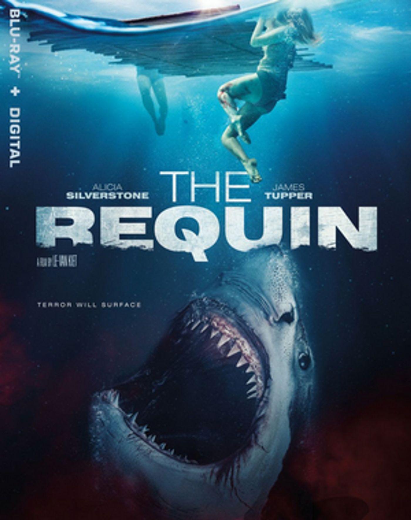THE REQUIN Sets DVD & Blu-Ray Release Date THE REQUIN Sets DVD & Blu-Ray Release Date Image
