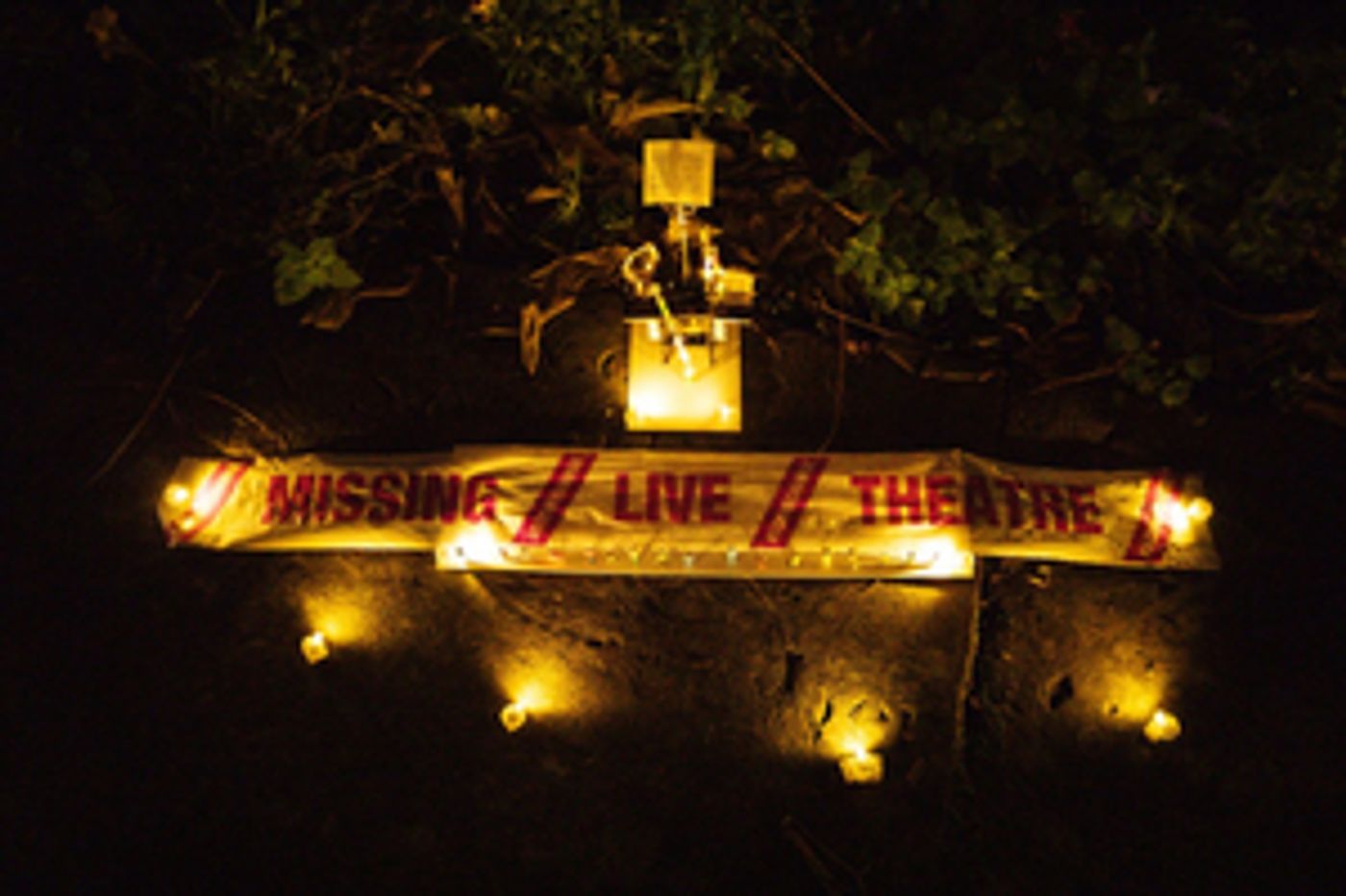 SIGNAL FIRES Book is On Sale Now SIGNAL FIRES Book is On Sale Now Image