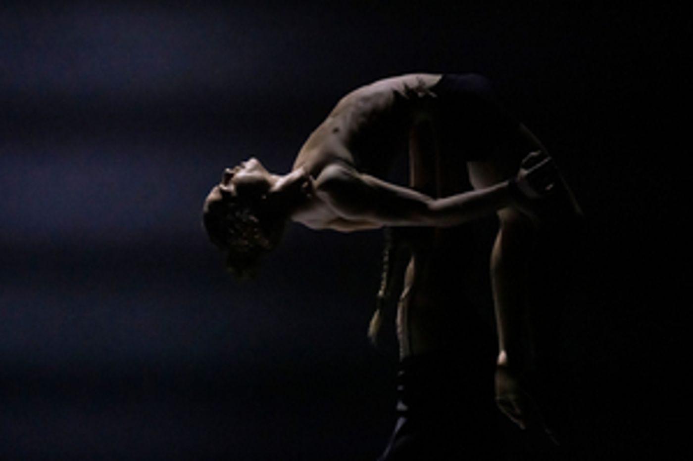 Review: SACRE BY CIRCA – ASTOUNDING AUSTRALIAN ARTISTRY at The Broad Stage Review: SACRE BY CIRCA – ASTOUNDING AUSTRALIAN ARTISTRY at The Broad Stage Image