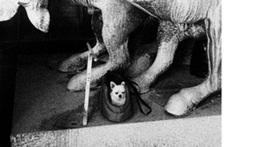 THE FATHER WATCHES OVER THE DAUGHTER is Now Playing at The New Stage Image