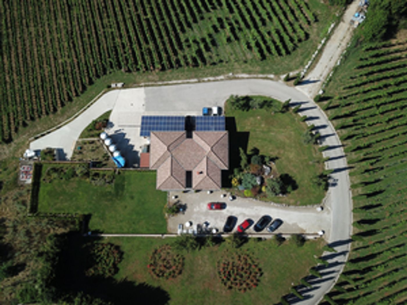 Bringing Campania Wines Back On Top-A Success Story  Image