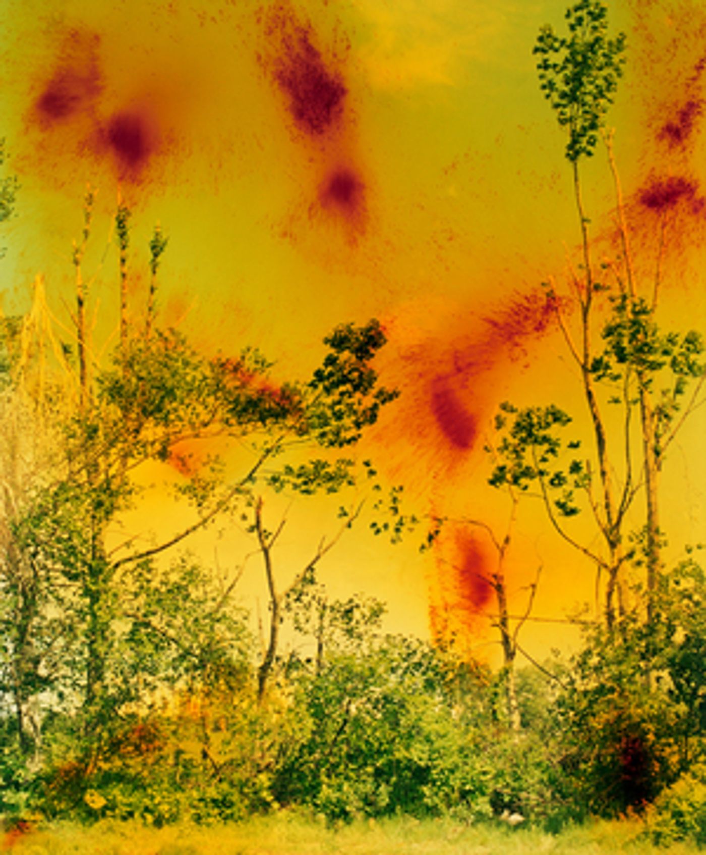 MoMA To Present New York's First Comprehensive Museum Survey Of Wolfgang Tillmans MoMA To Present New York's First Comprehensive Museum Survey Of Wolfgang Tillmans Image