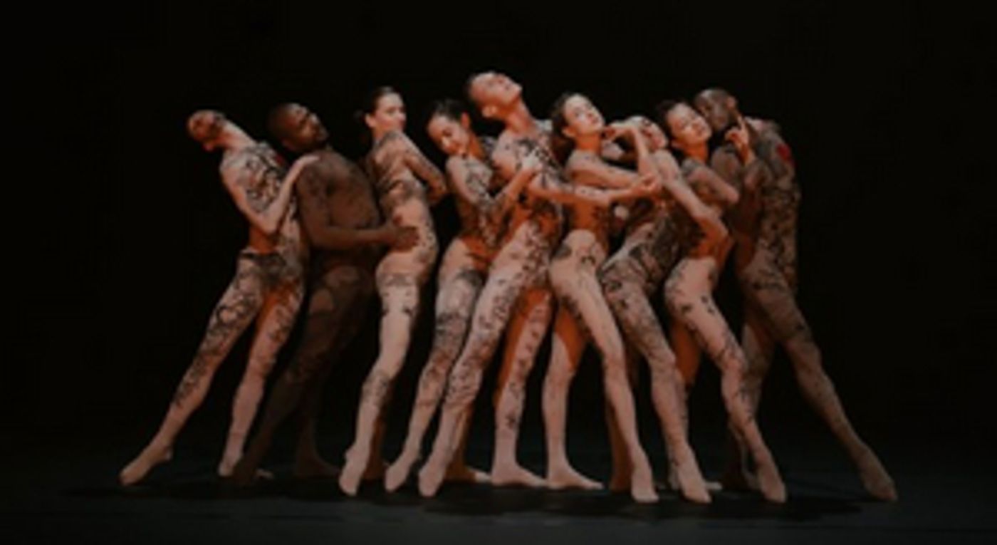 Review: L-E-V at The Joyce Theatre Captivates  Image