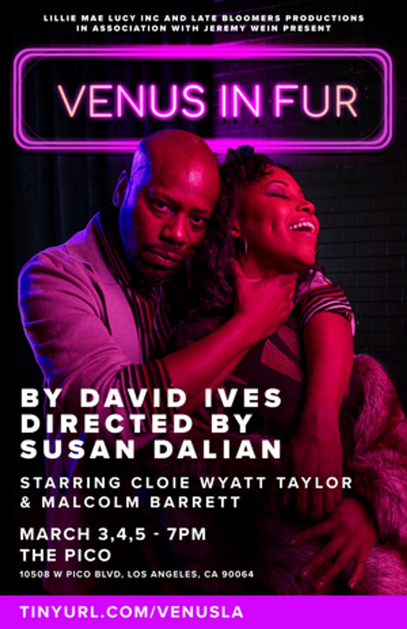 VENUS IN FUR Comes to The Pico in March VENUS IN FUR Comes to The Pico in March Image