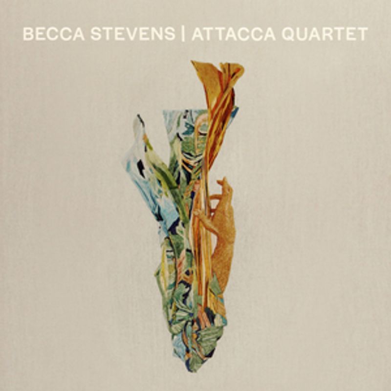 Becca Stevens & Attacca Quartet Announce Collaborative Album ...