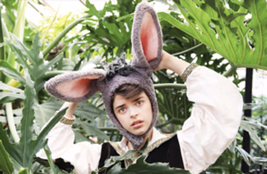 Stagecrafters Youth Theatre to Stage A MIDSUMMER NIGHT'S DREAM  Image