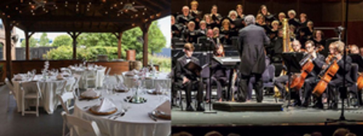 Plano Symphony Orchestra to Launch Networking Group and Event for Young Professionals  Image