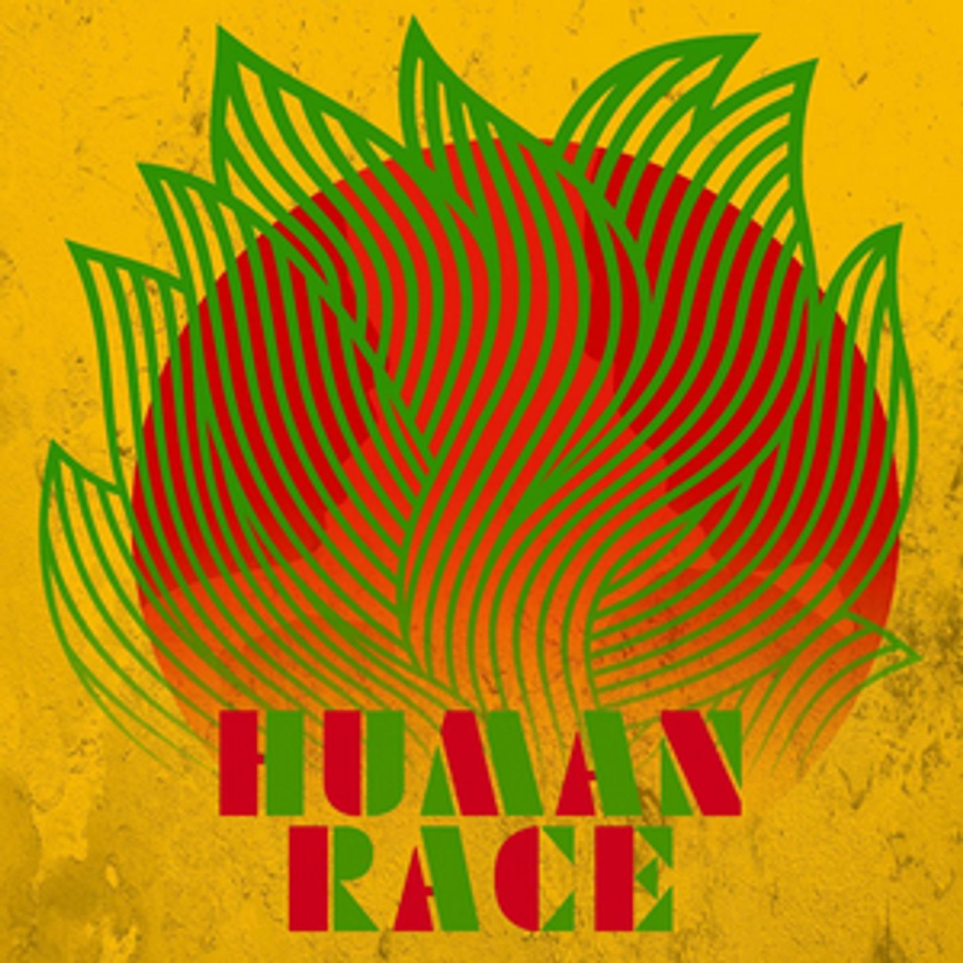 Groundation Releases New Single 'Human Race'  Image