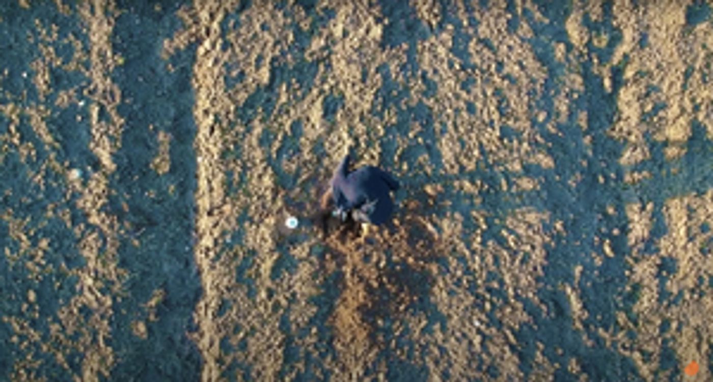 DOGS OF EUROPE Comes to the Barbican Next Week DOGS OF EUROPE Comes to the Barbican Next Week Image