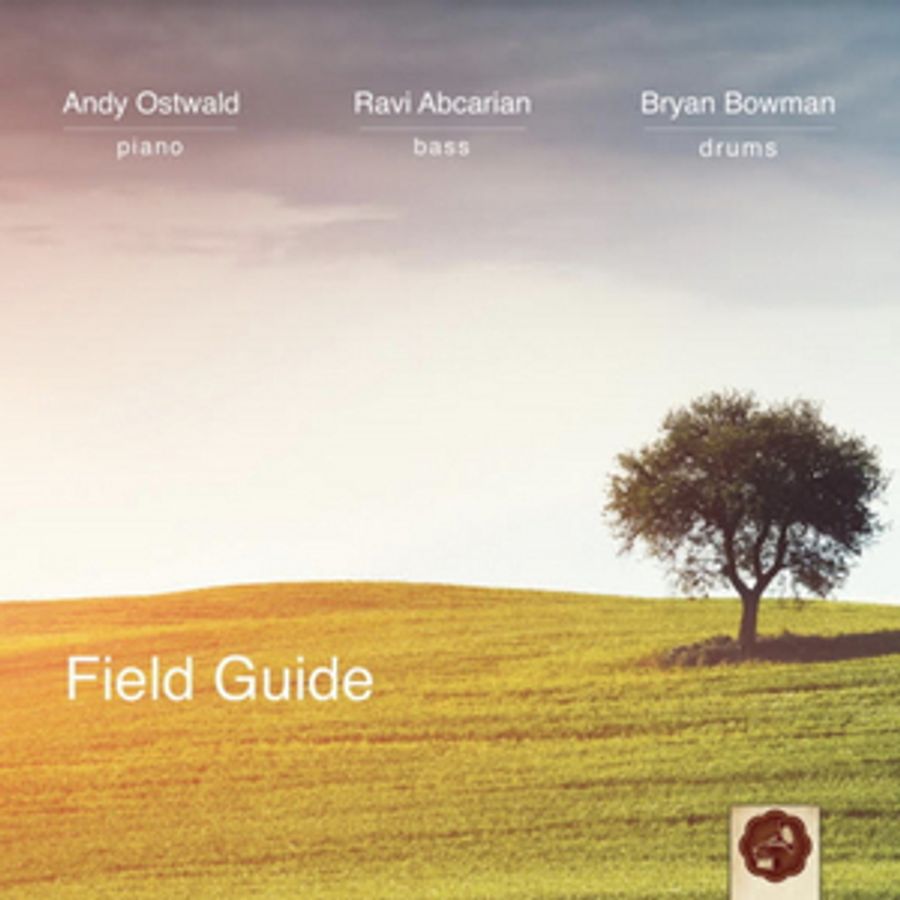 Jazz Ensemble ANDY OSTWALD TRIO Releases Debut Solo Record Image