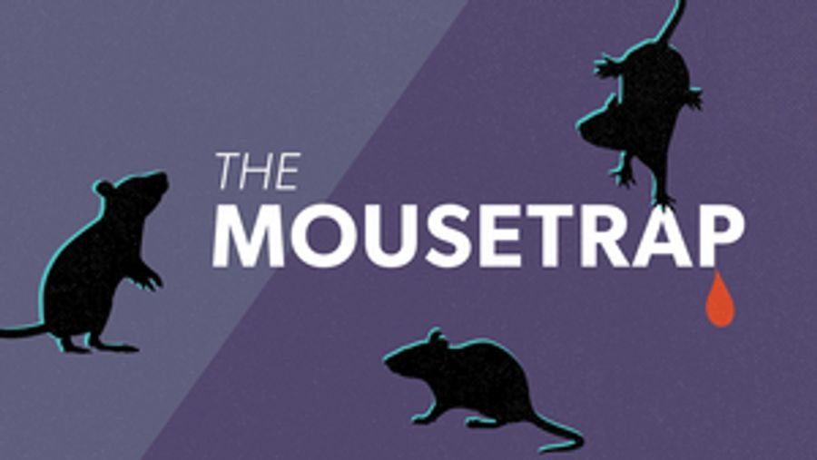 Review: THE MOUSE TRAP at Lyric Arts Theatre Image