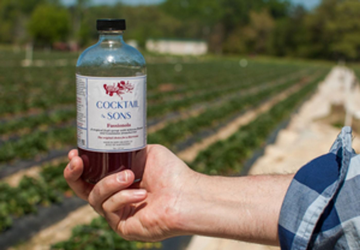 COCKTAIL & SONS Fassionola Syrup Elevates Your Cocktails COCKTAIL & SONS Fassionola Syrup Elevates Your Cocktails Image