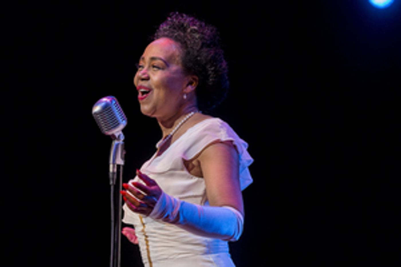 freeFall Theatre Presents LADY DAY AT EMERSON'S BAR AND GRILL  Image