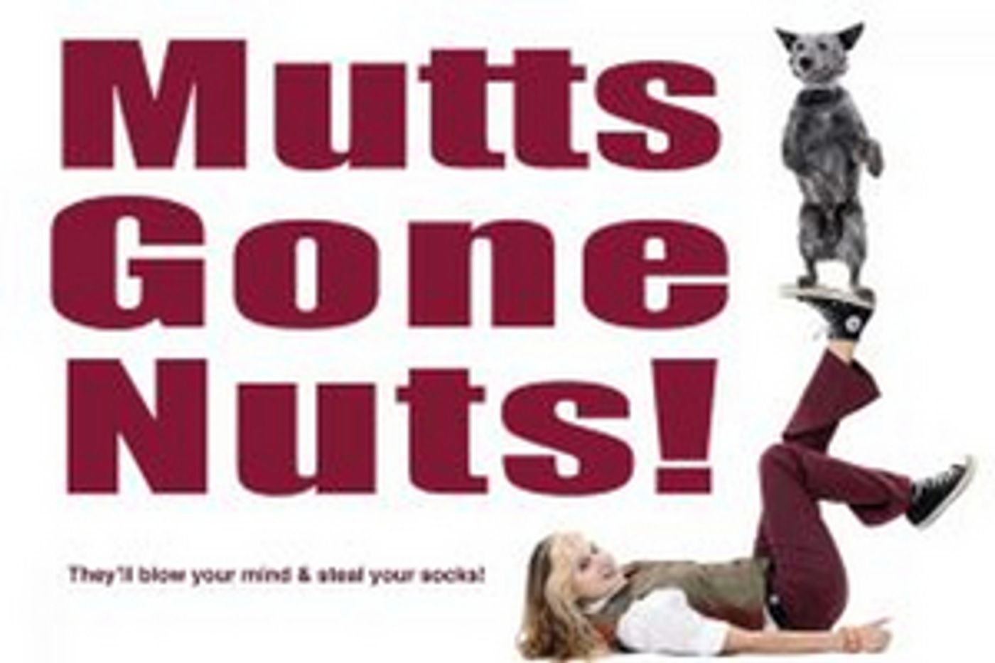 MUTTS GONE NUTS! Returns to the State Theatre Next Weekend MUTTS GONE NUTS! Returns to the State Theatre Next Weekend Image