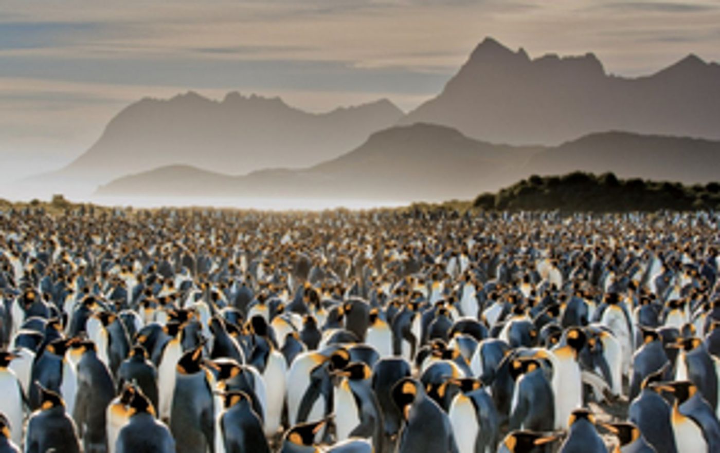 National Geographic's RARELY SEEN Exhibition Will Open At Bally's Las Vegas National Geographic's RARELY SEEN Exhibition Will Open At Bally's Las Vegas Image