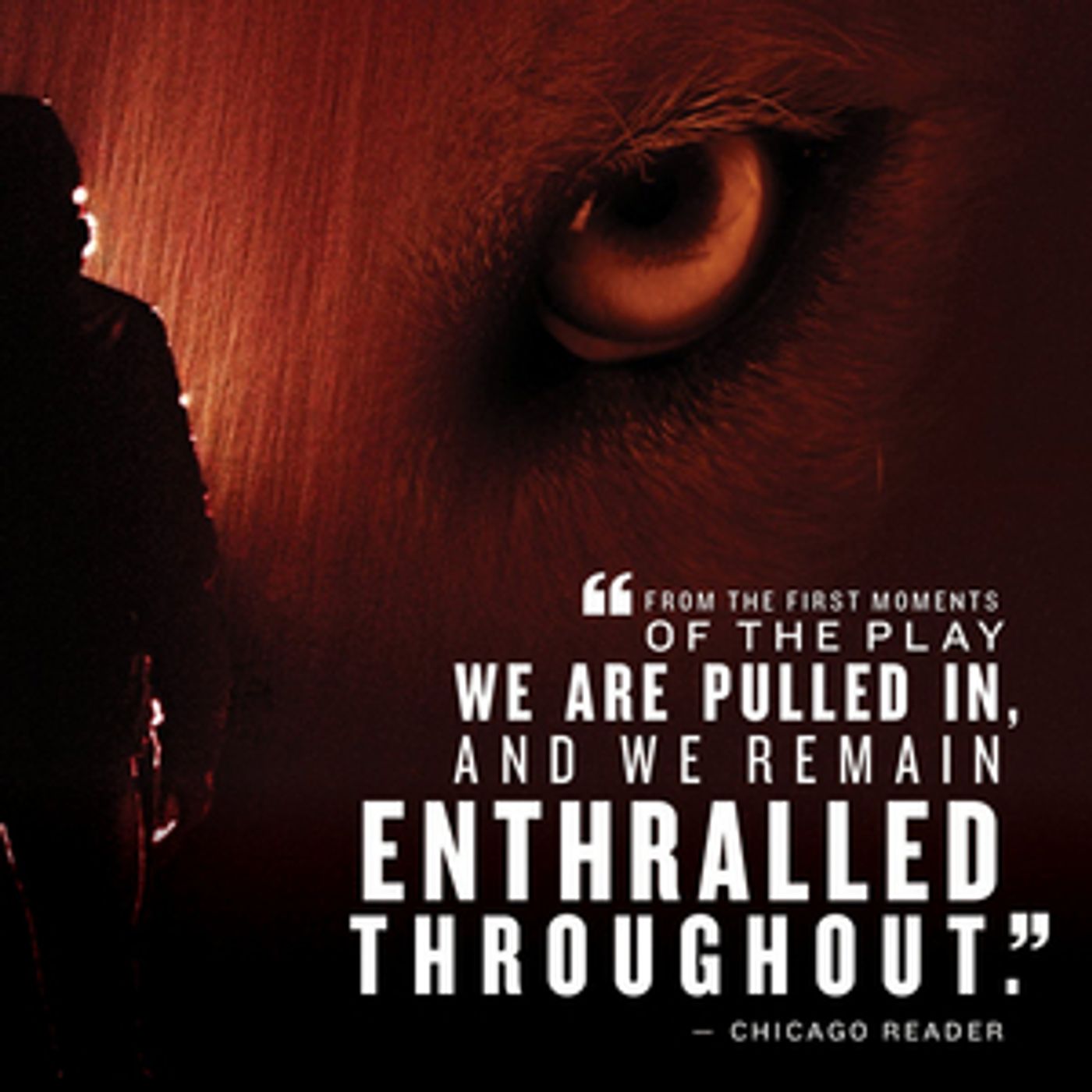 Theatrical Outfit Presents THE WOLF AT THE END OF THE BLOCK This Month  Image