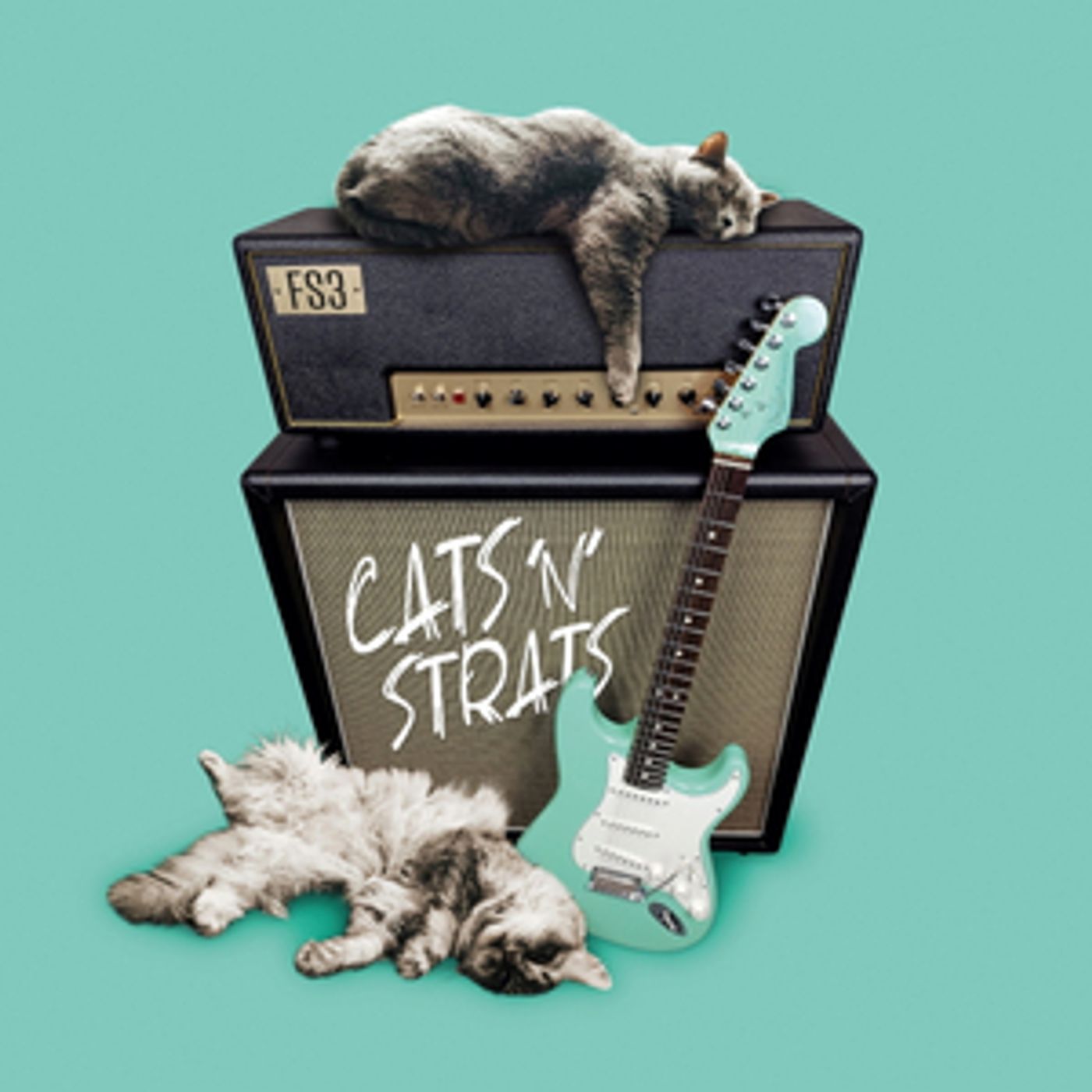 FS3 Trio Featuring Austrian Guitarist Joe Doblhofer Releases Debut Album 'Cats 'n' Strats' FS3 Trio Featuring Austrian Guitarist Joe Doblhofer Releases Debut Album 'Cats 'n' Strats' Image