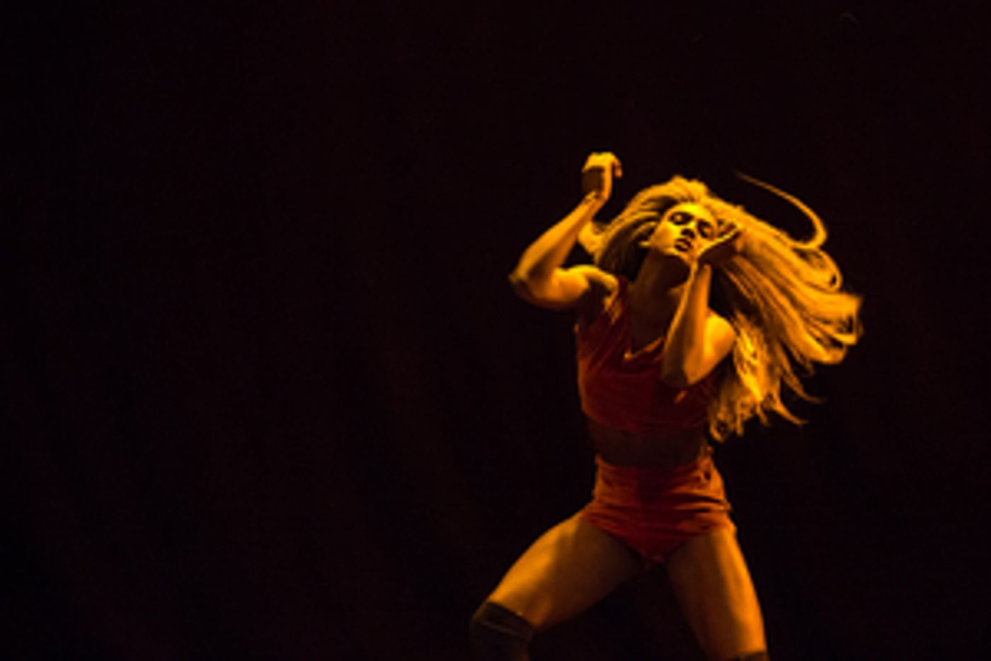 Brazilian Choeographer Alice Ripoll and Suave Make US Premiere at BAM, CRIA Next Week Brazilian Choeographer Alice Ripoll and Suave Make US Premiere at BAM, CRIA Next Week Image