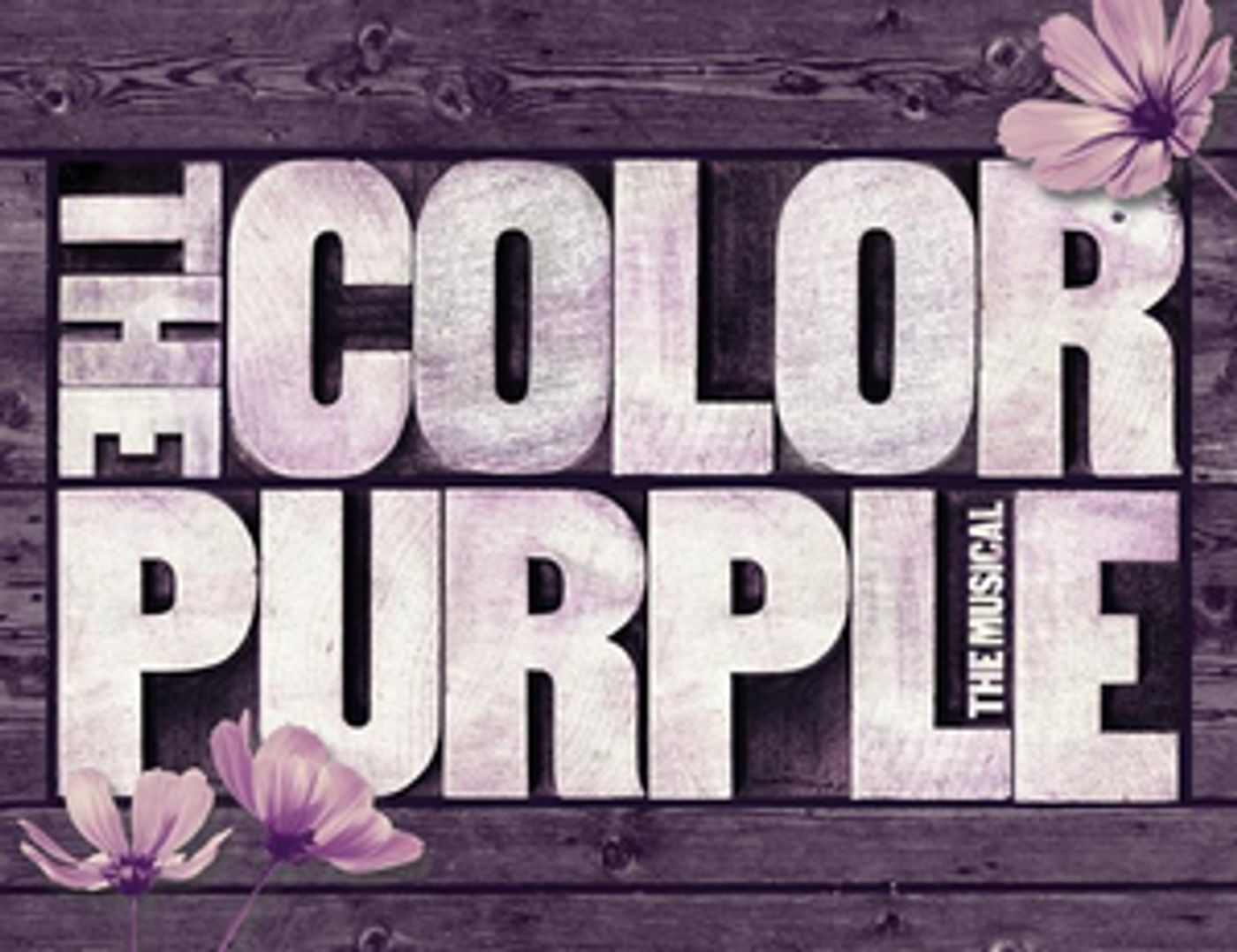 Ciara Joins THE COLOR PURPLE Film as Nettie  Image