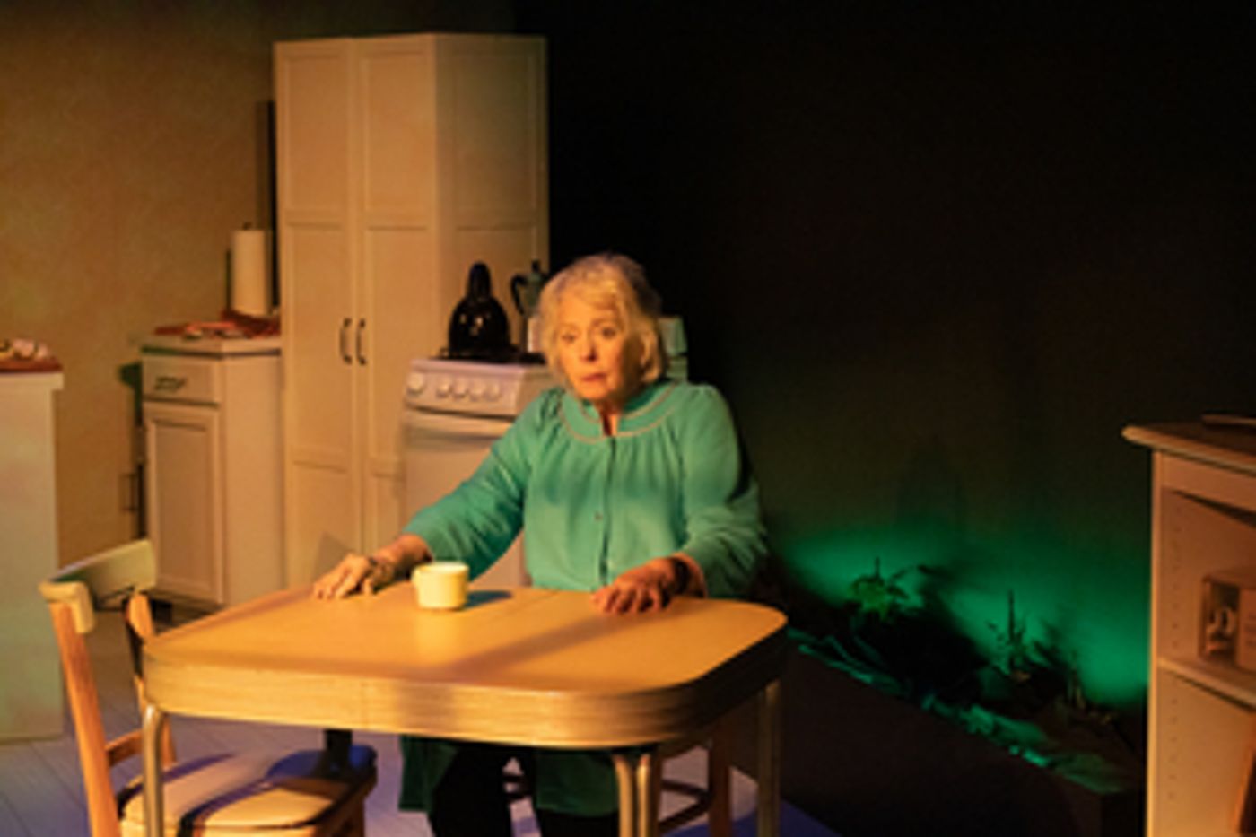 Review: THE FOREST at NJ Rep Brilliantly Portrays the Complex Subject of Dementia  Image