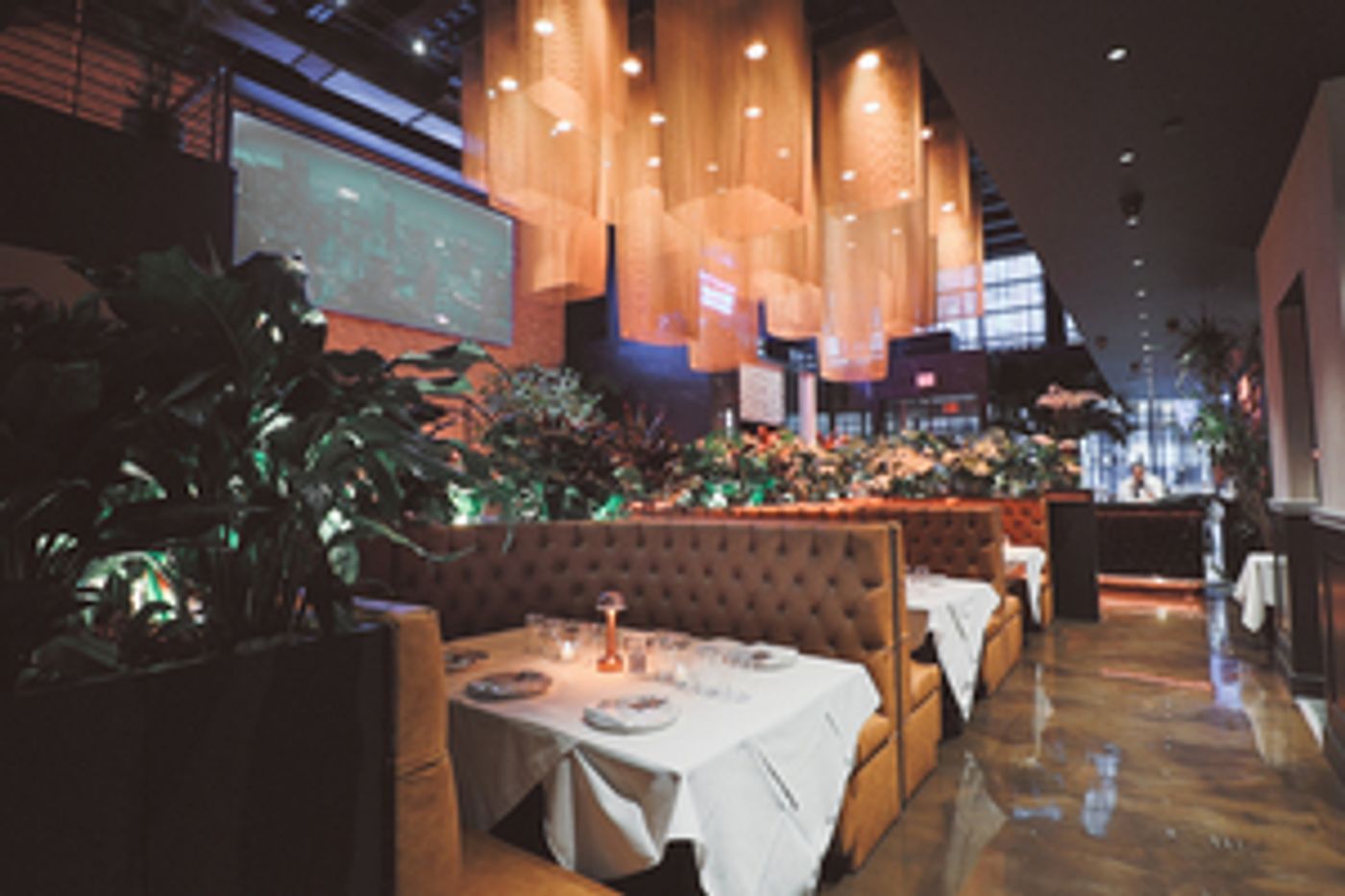 BROOKLYN CHOP HOUSE Opens Massive Times Square Location With Private NFT Members-Only Subcellar  Image