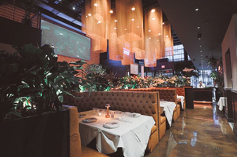 BROOKLYN CHOP HOUSE Opens Massive Times Square Location With Private NFT Members-Only Subcellar Image