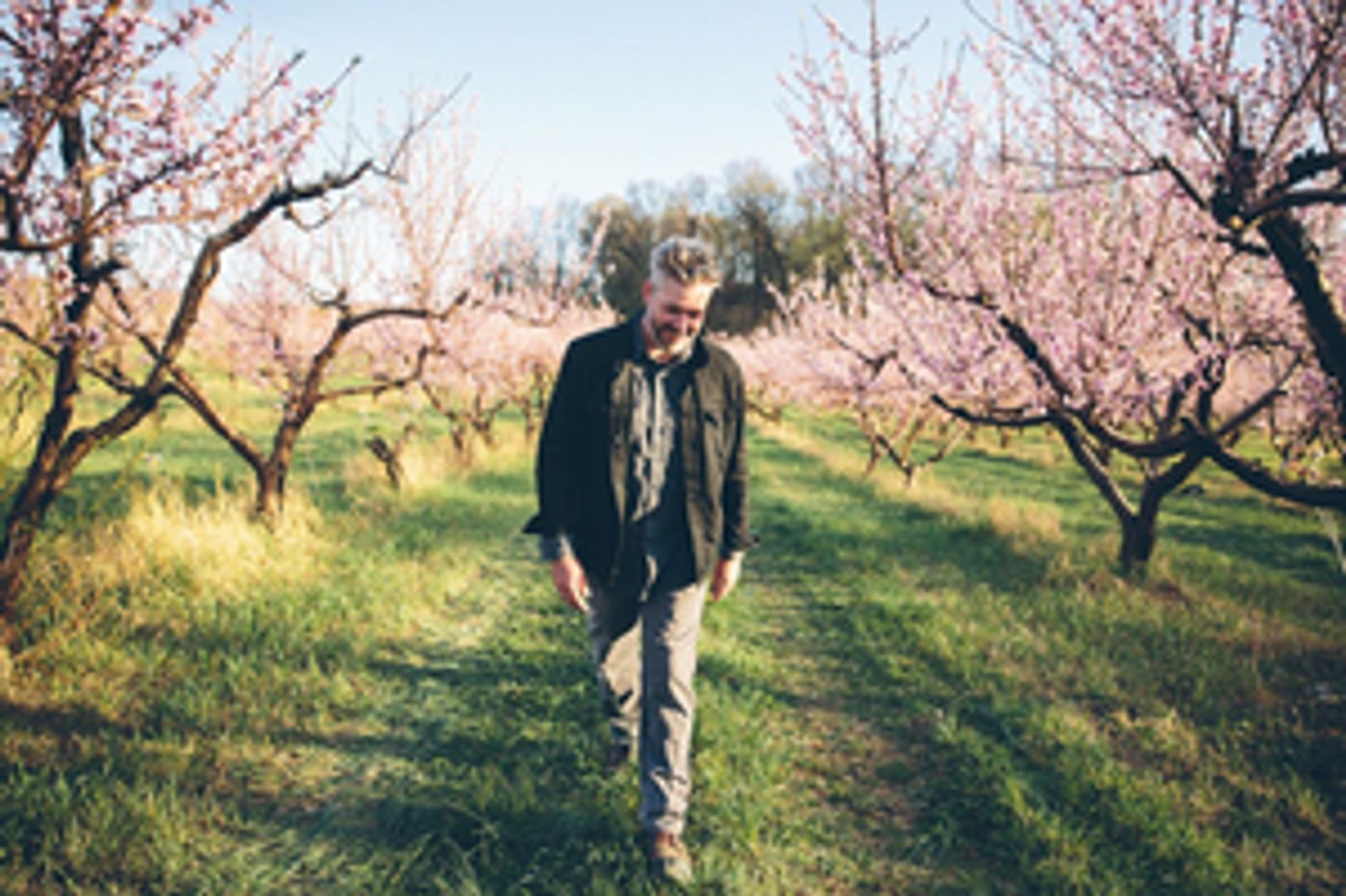 Michigan Songwriter Chris Bathgate Returns With 'Bruises'  Image