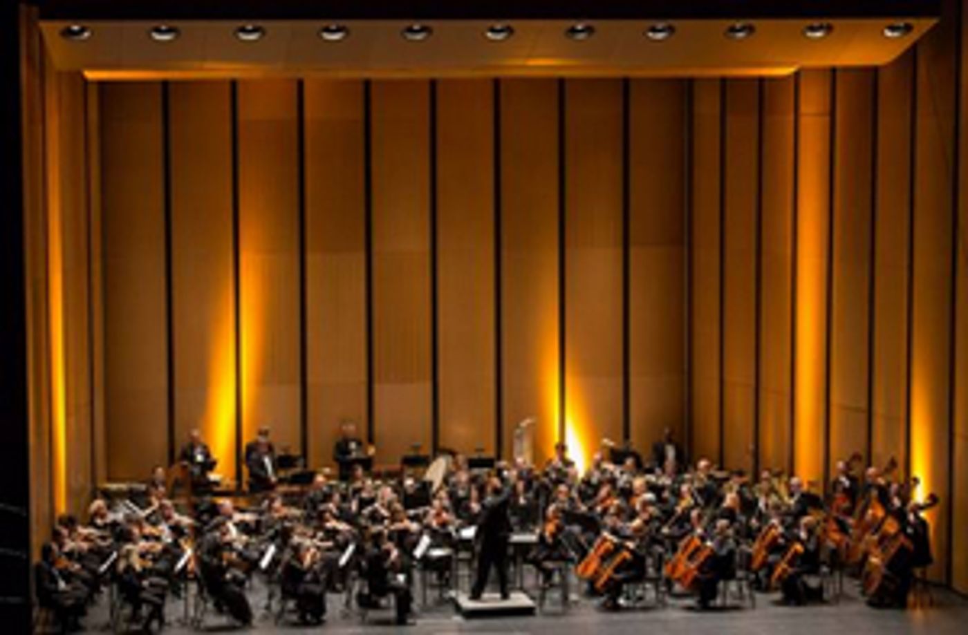 Chicago Philharmonic Awarded $75,000 Grant  Image