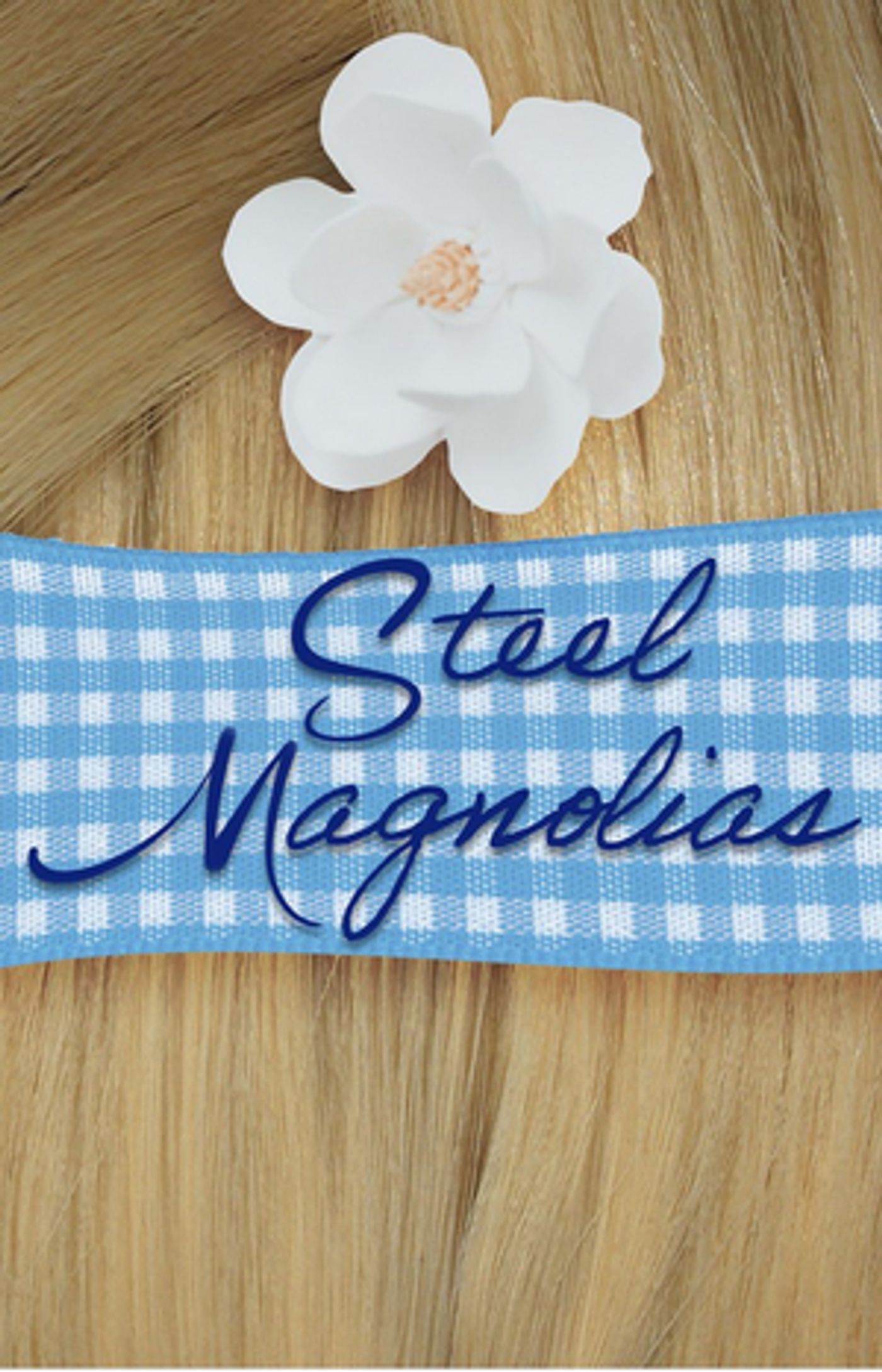 Emmy Award Winner Benita Zahn to Lead Fort Salem Theater's STEEL MAGNOLIAS  Image