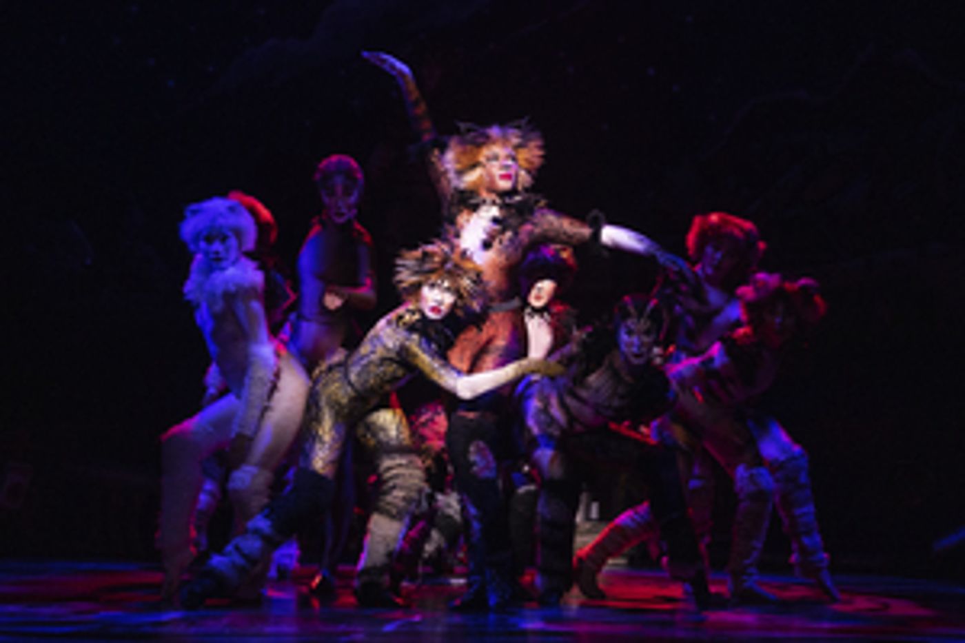 Review: Why I'm Not Crazy About CATS at Dr. Phillips Center  Image