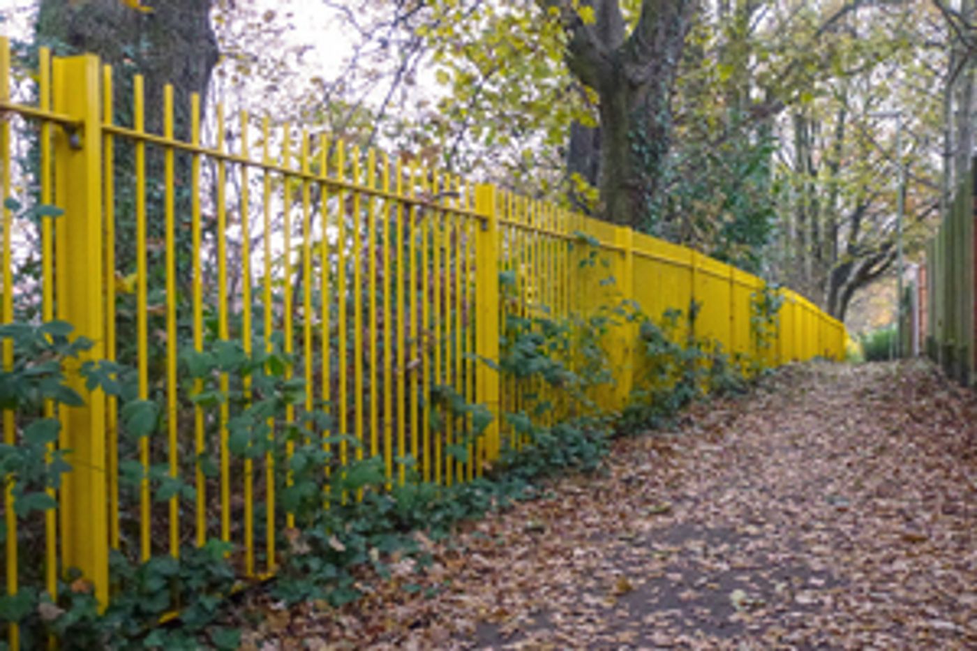 Student Blog: Setting Boundaries in Theatre  Image