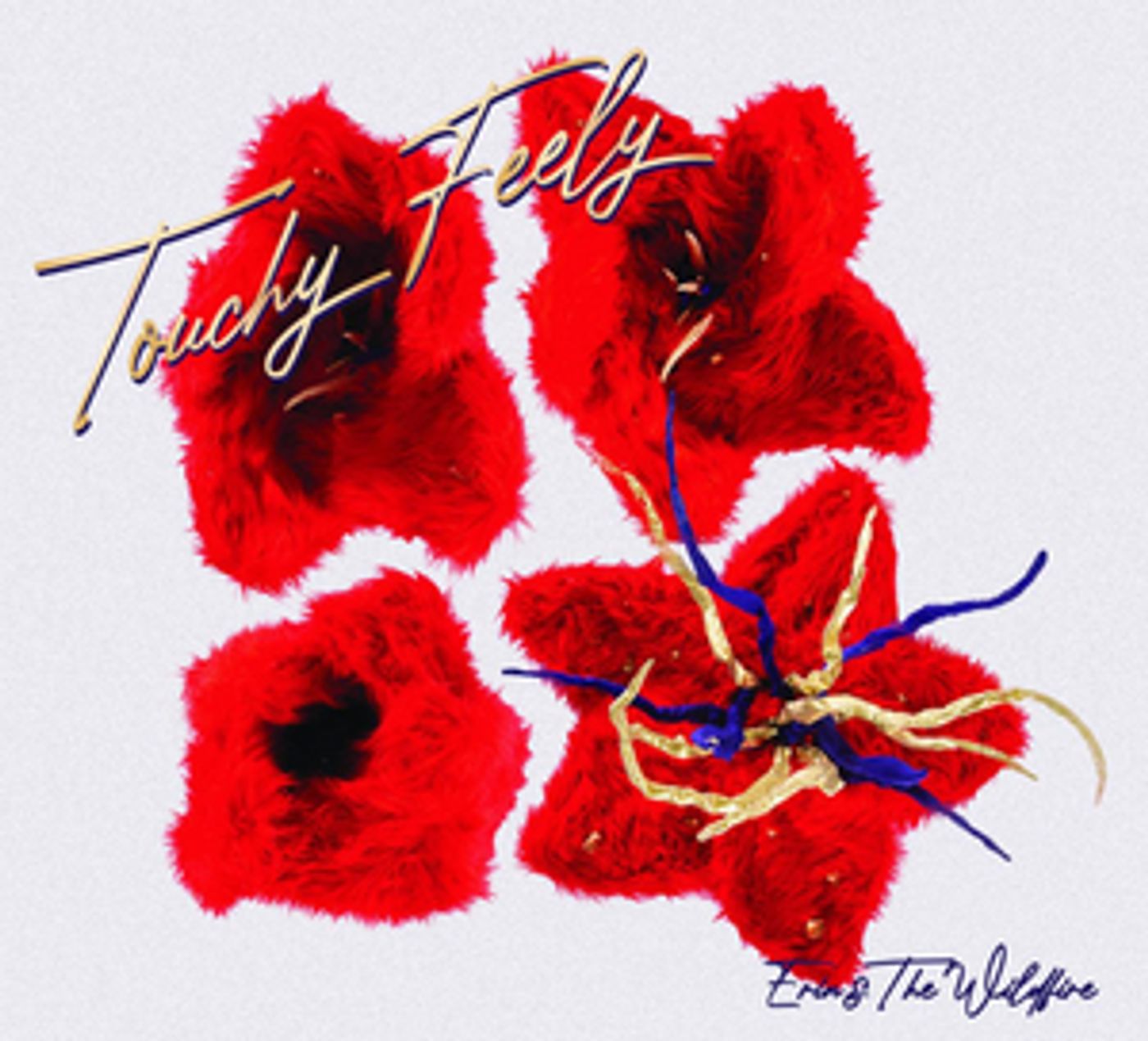 Erin & The Wildfire Release Highly Anticipated Sophomore Record 'Touchy Feely'  Image