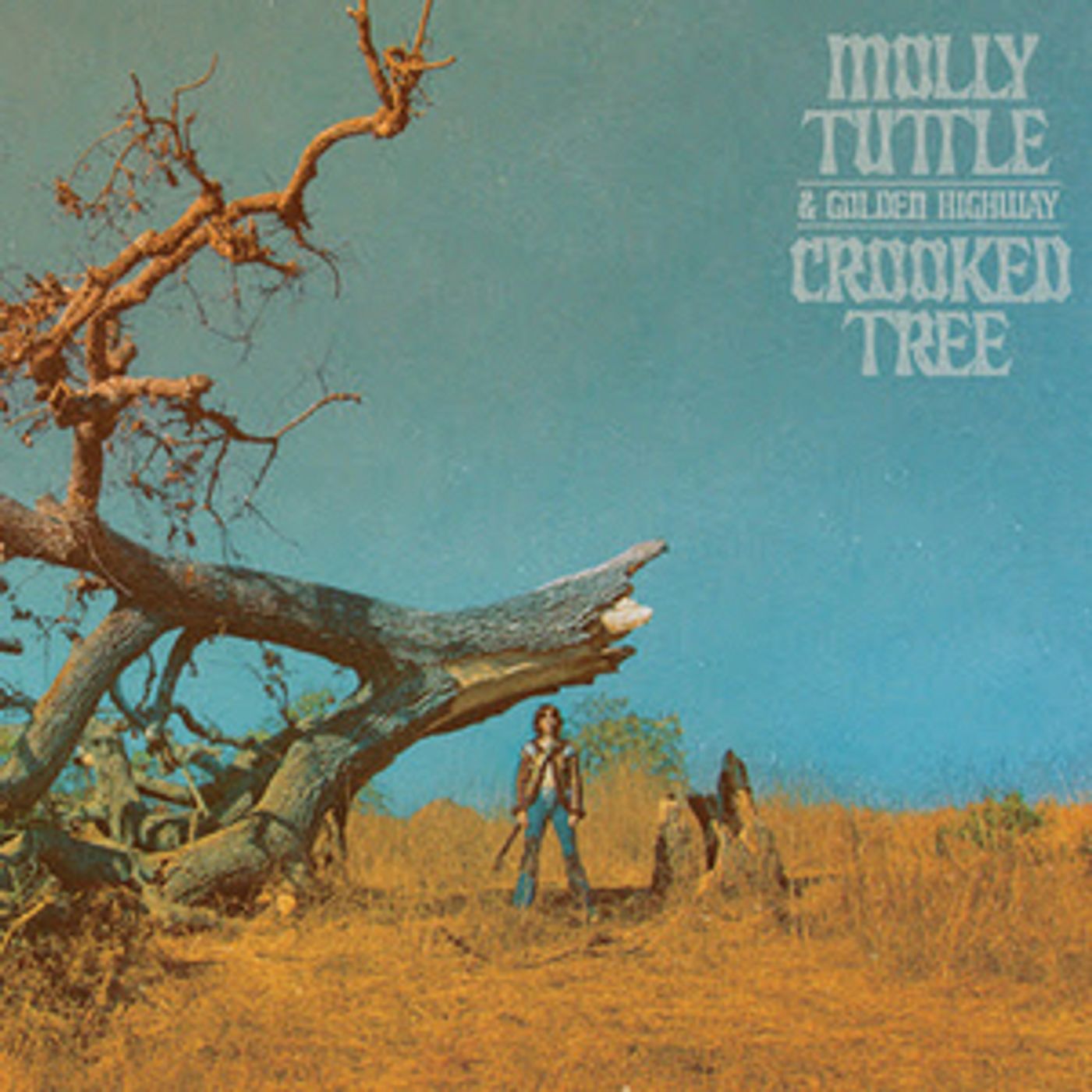 Molly Tuttle & Golden Highway Release New Album 'Crooked Tree'  Image