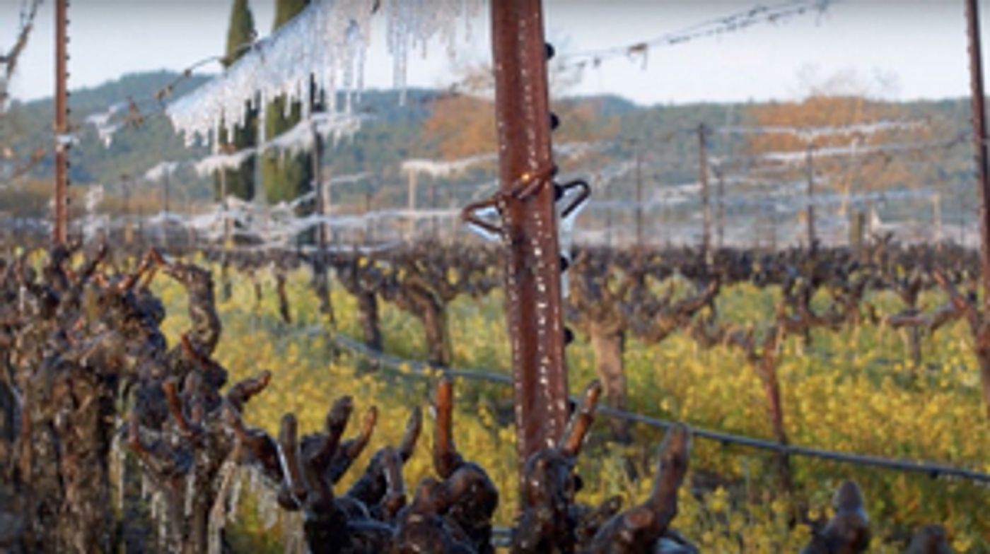 A PERFECT VINTAGE Documentary by Vision Films Released on VOD/DVD A PERFECT VINTAGE Documentary by Vision Films Released on VOD/DVD Image