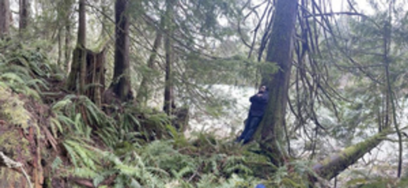 Southern Lord to Premiere Full-Length Record, Forest Nocturne Southern Lord to Premiere Full-Length Record, Forest Nocturne Image